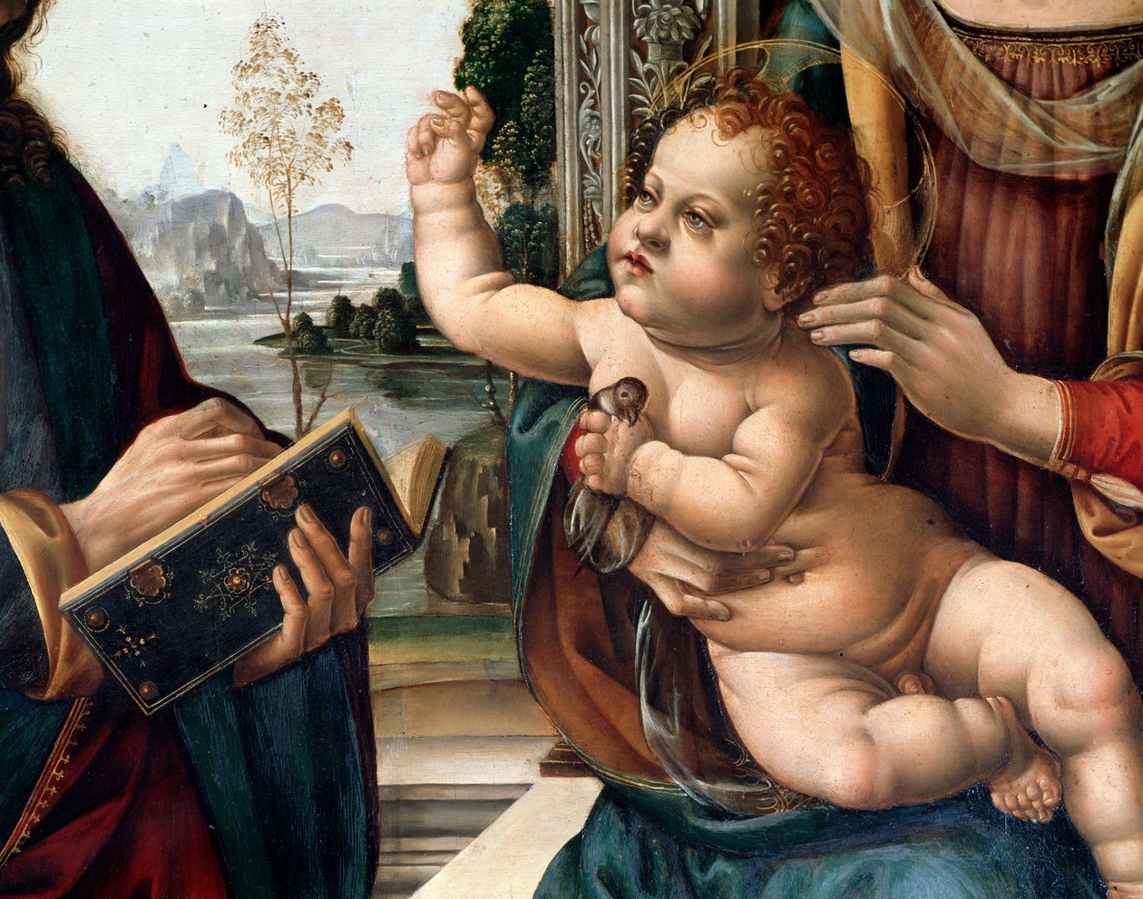 Neitsyt lapsen kanssa ja kaksi pyhää, pyhä Matteus ja pyhä Hieronymus (Neitsyt lapsen kanssa ja kaksi pyhää, pyhä Matteus ja pyhä Hieronymus) Yksityiskohta Lorenzo di Credin (1459-1537) maalaus Firenze, kirkko santo Spirito Italia tekijältä Lorenzo di Credi