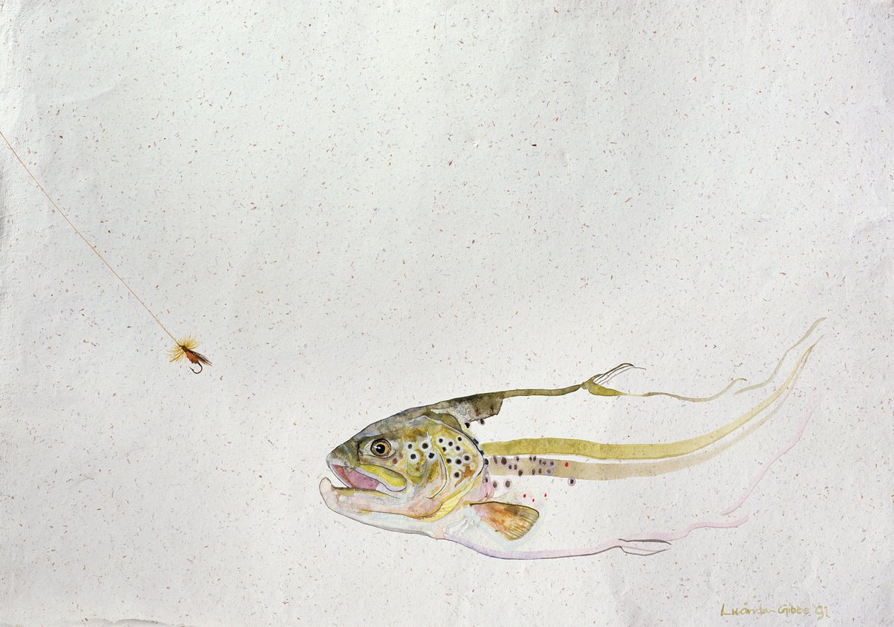 Taimen jahtaamassa kalastajan perhoa, 1991, (akvarelli käsintehdylle paperille) tekijältä Lou Gibbs