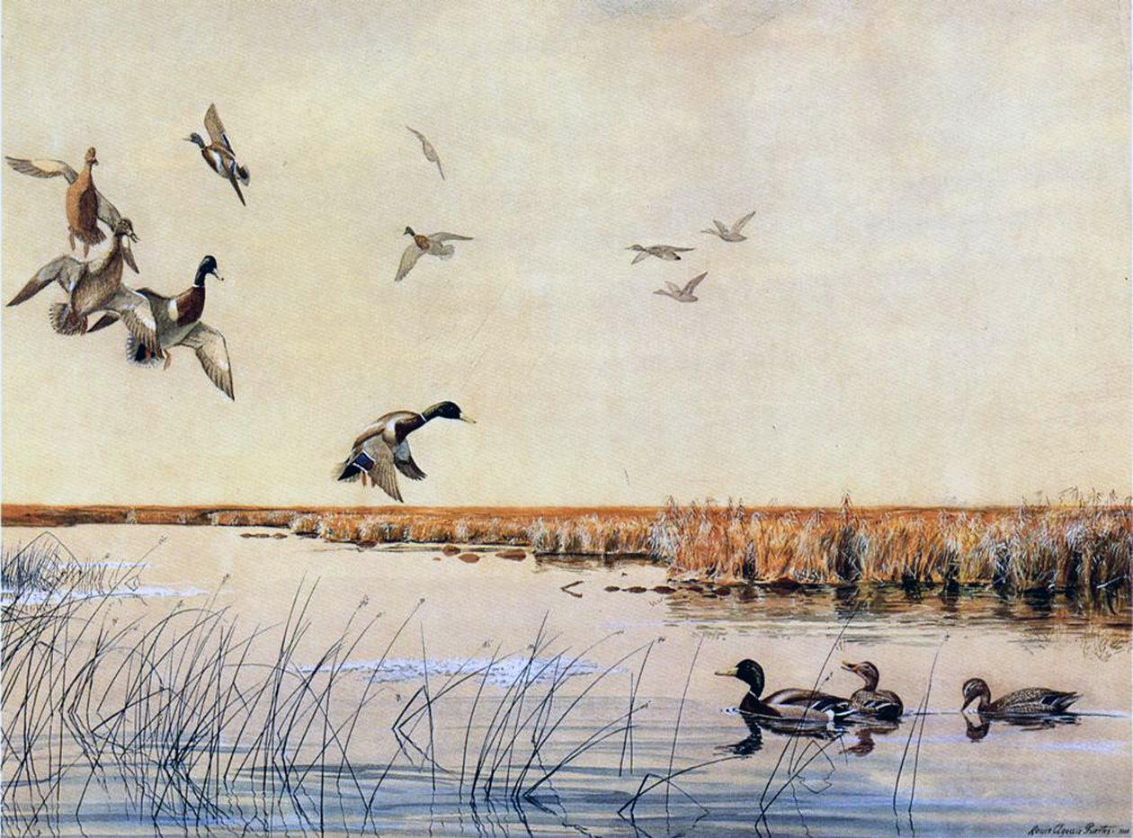 Ankkojen laskeutuminen, 1919 tekijältä Louis Agassiz Fuertes