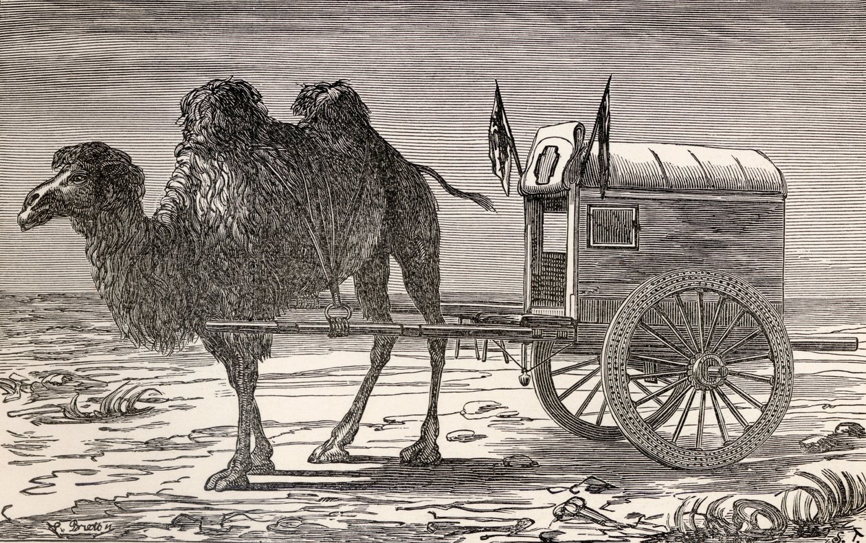Kameli vetää vaunuja Gobin aavikon poikki Aasiassa, Victor Meignanin Pariisista Pekiniin Siperian lumien yli, kaiverrus Smeeton-Tilly (Burne Smeeton (fl.1840-60) ja Auguste Tilly (k.18). tekijältä Louis Breton