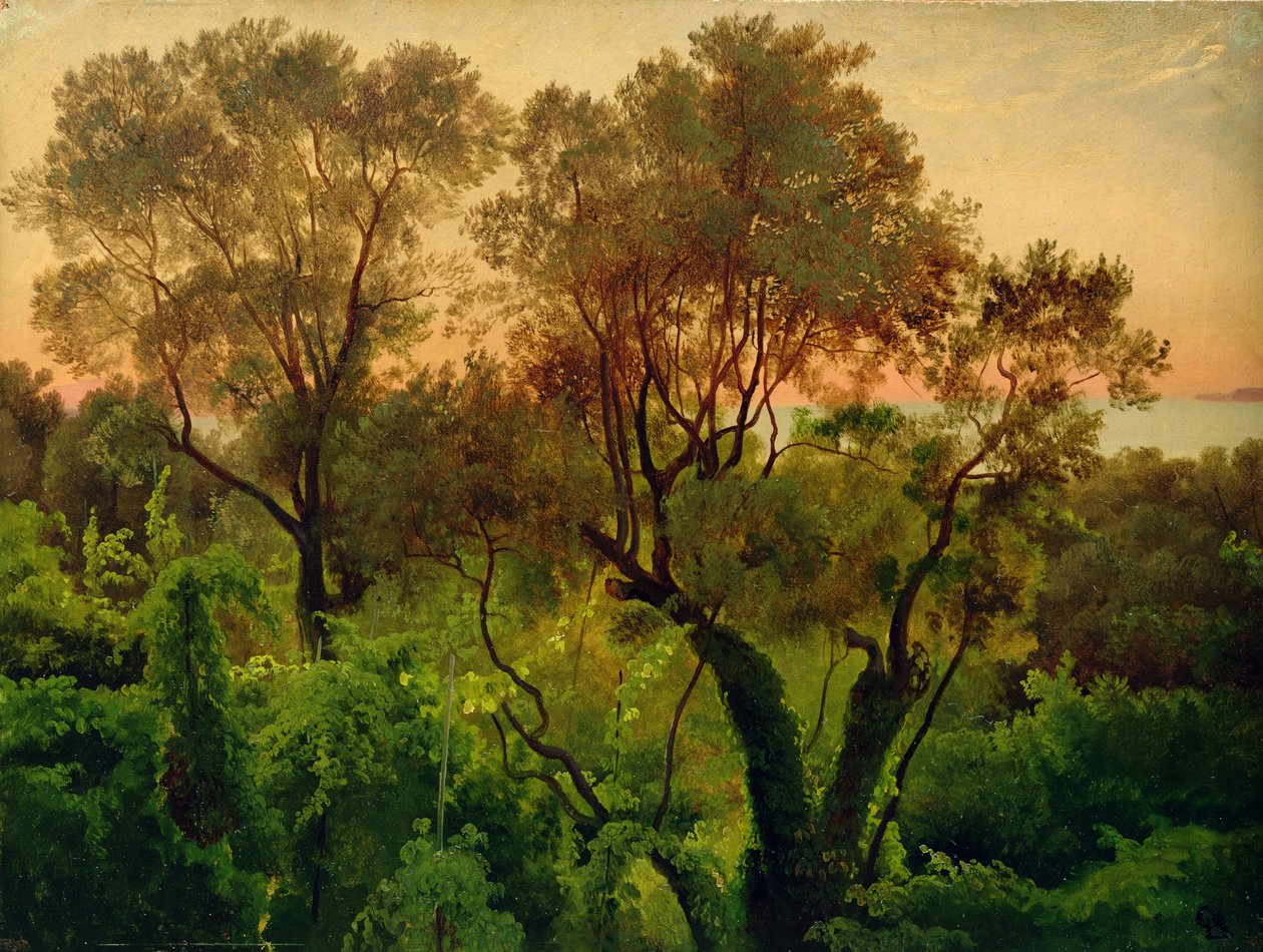 Oliivipuiden rinne (öljy paperille paneelissa) tekijältä Louis Gurlitt