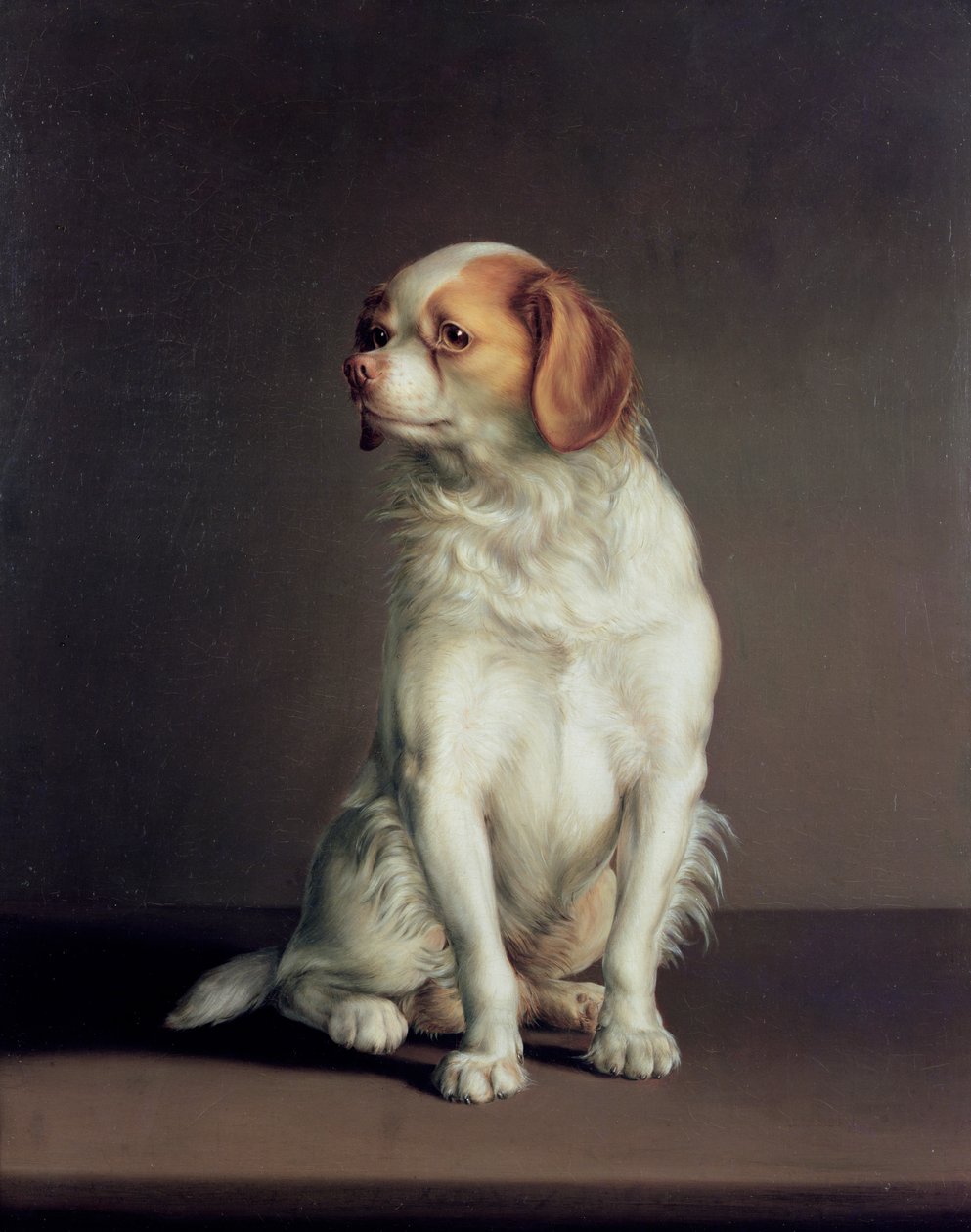 Muotokuva kuningas Charles Spanielista tekijältä Louis Leopold Boilly