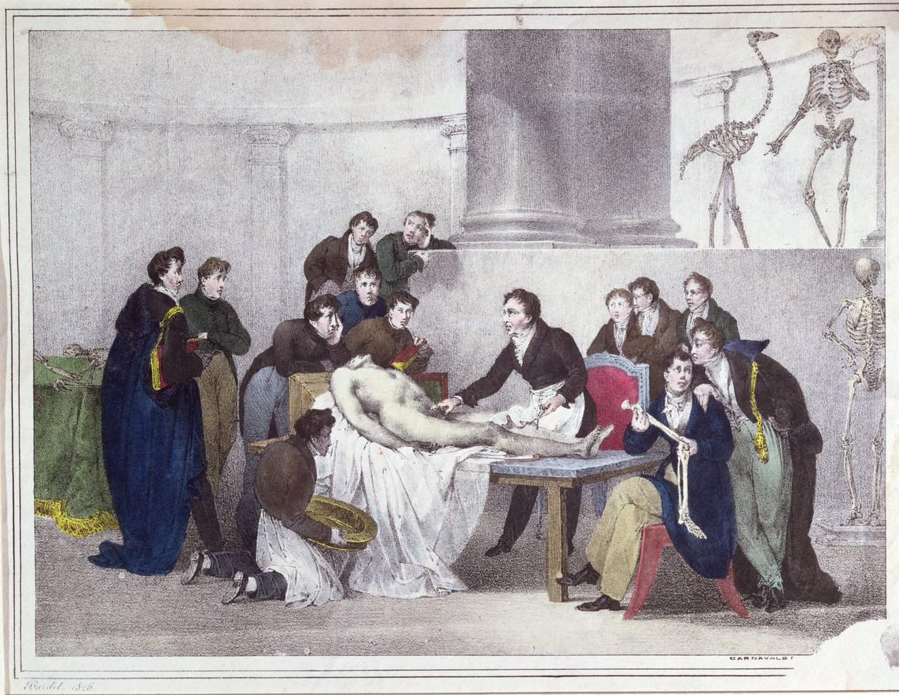 Anatomian oppitunti, 1826 tekijältä Louis Thomas Bardel