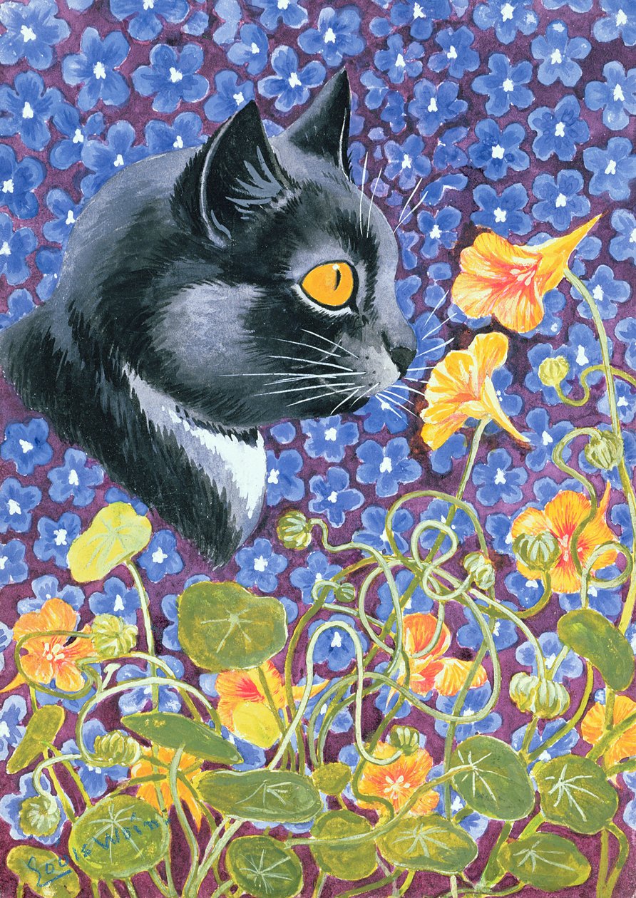 Kissa kukkameressä tekijältä Louis Wain