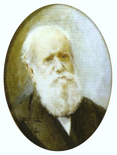Pedro II, Brasilia tekijältä Louis Robert de Cuvillon