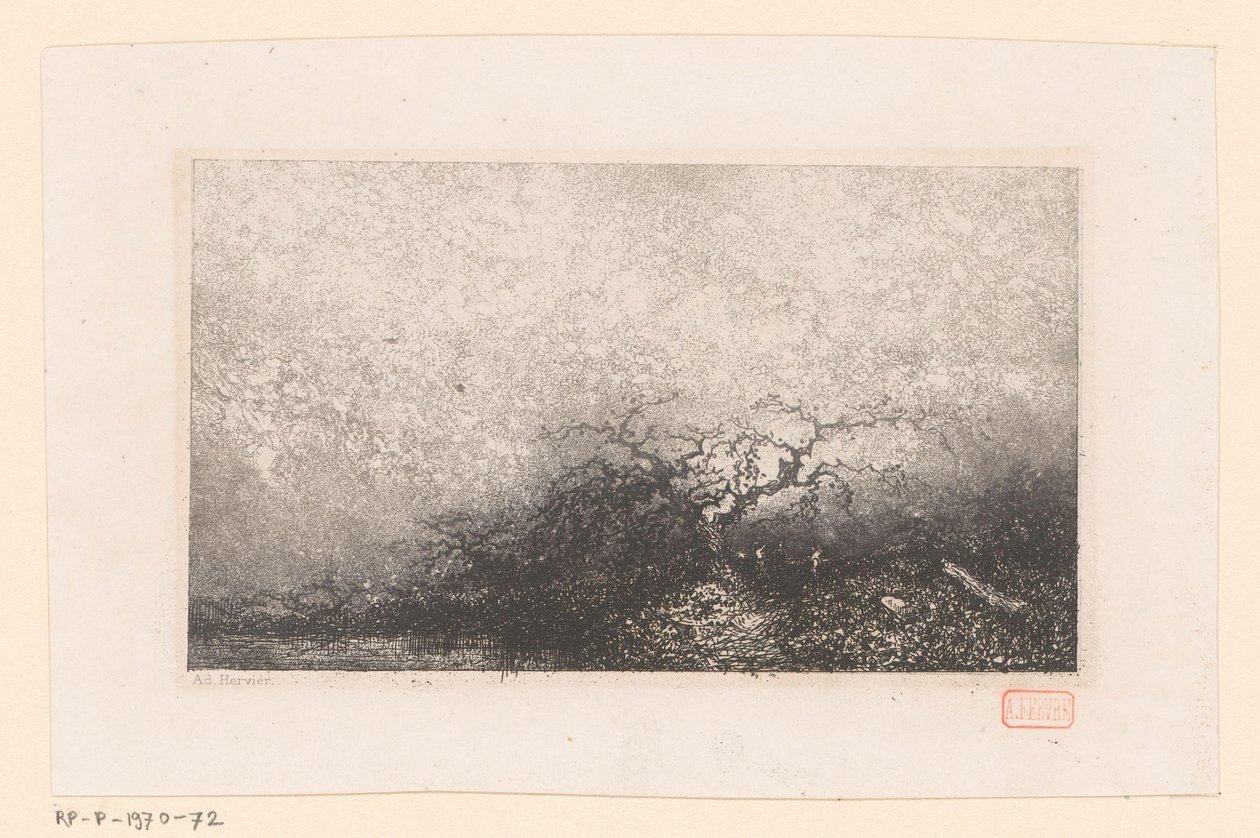 Maisema puulla uima-altaalla Erilaisia ​​maisemia (sarjan nimi) Croquis du voyage de 1843 (sarjan nimi) tekijältä Louis Adolphe Hervier