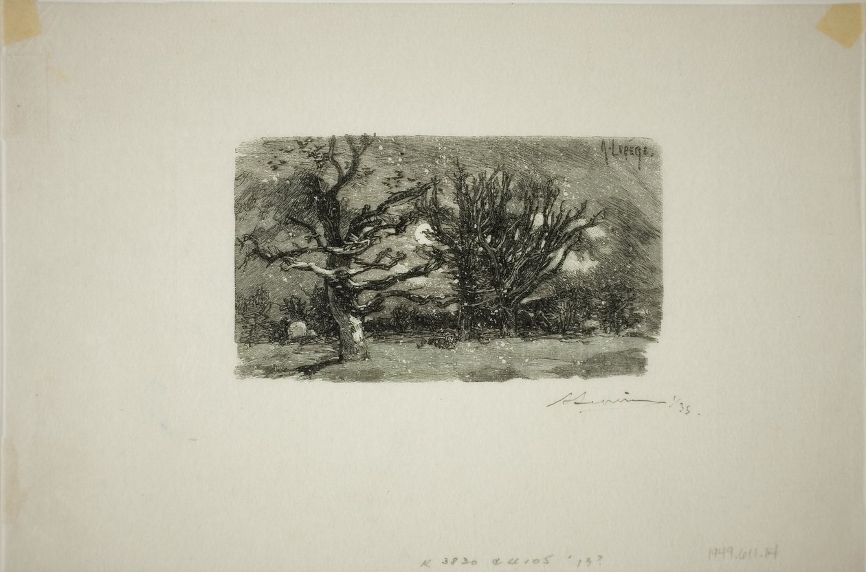 Au Dormoir de Lantara tekijältä Louis Auguste Lepère