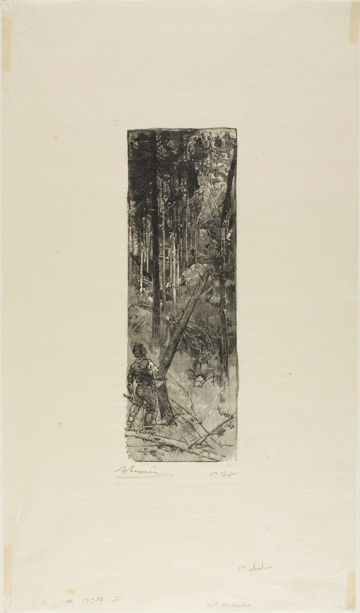 Falling Pines tekijältä Louis Auguste Lepère