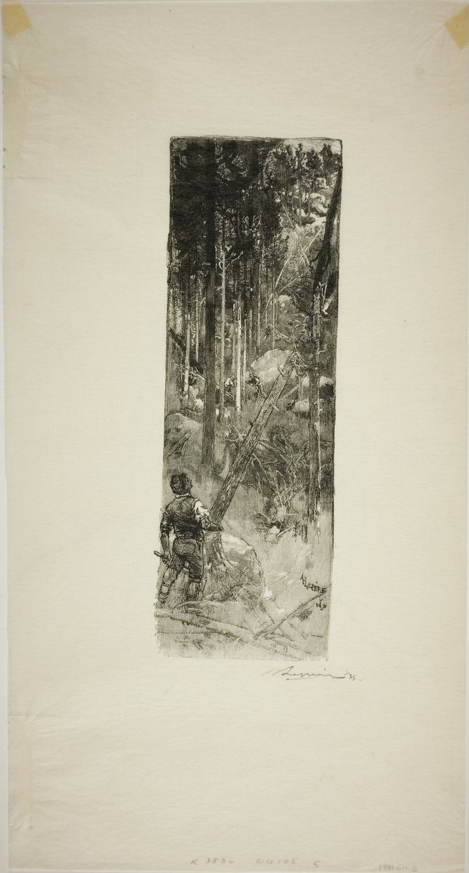 Falling Pines tekijältä Louis Auguste Lepère