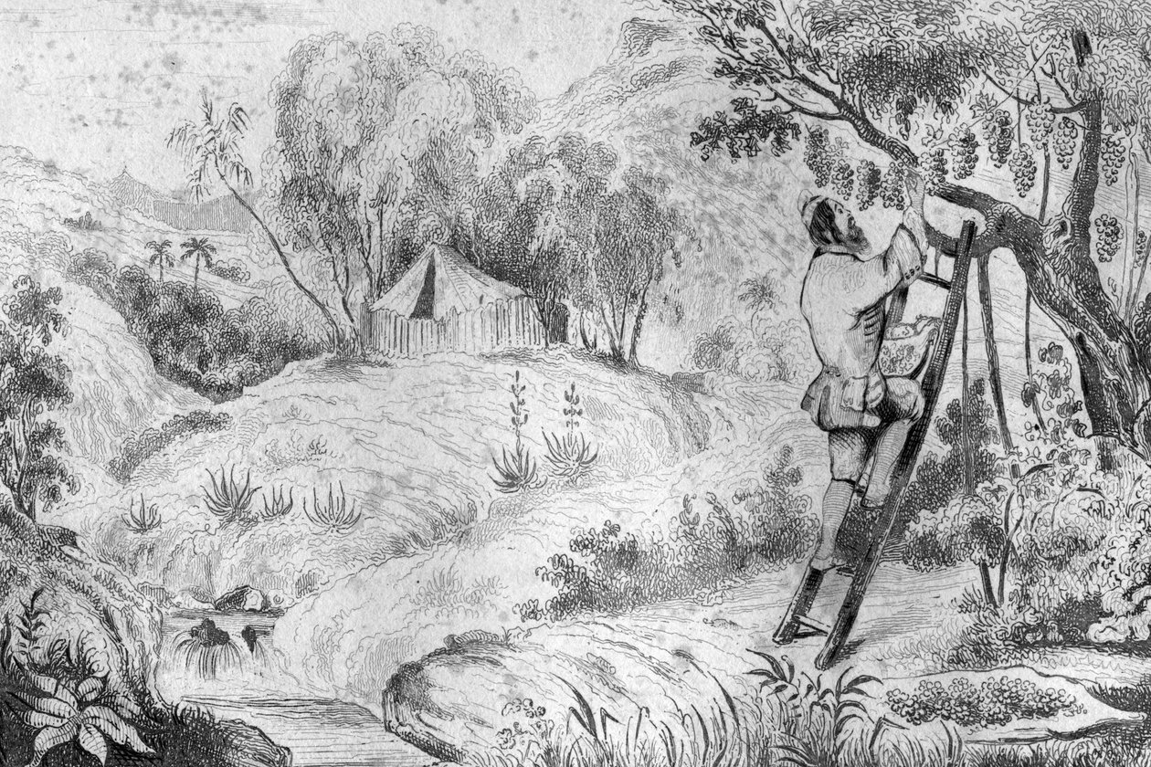 Kukat tekijältä Louis Auguste de Sainson