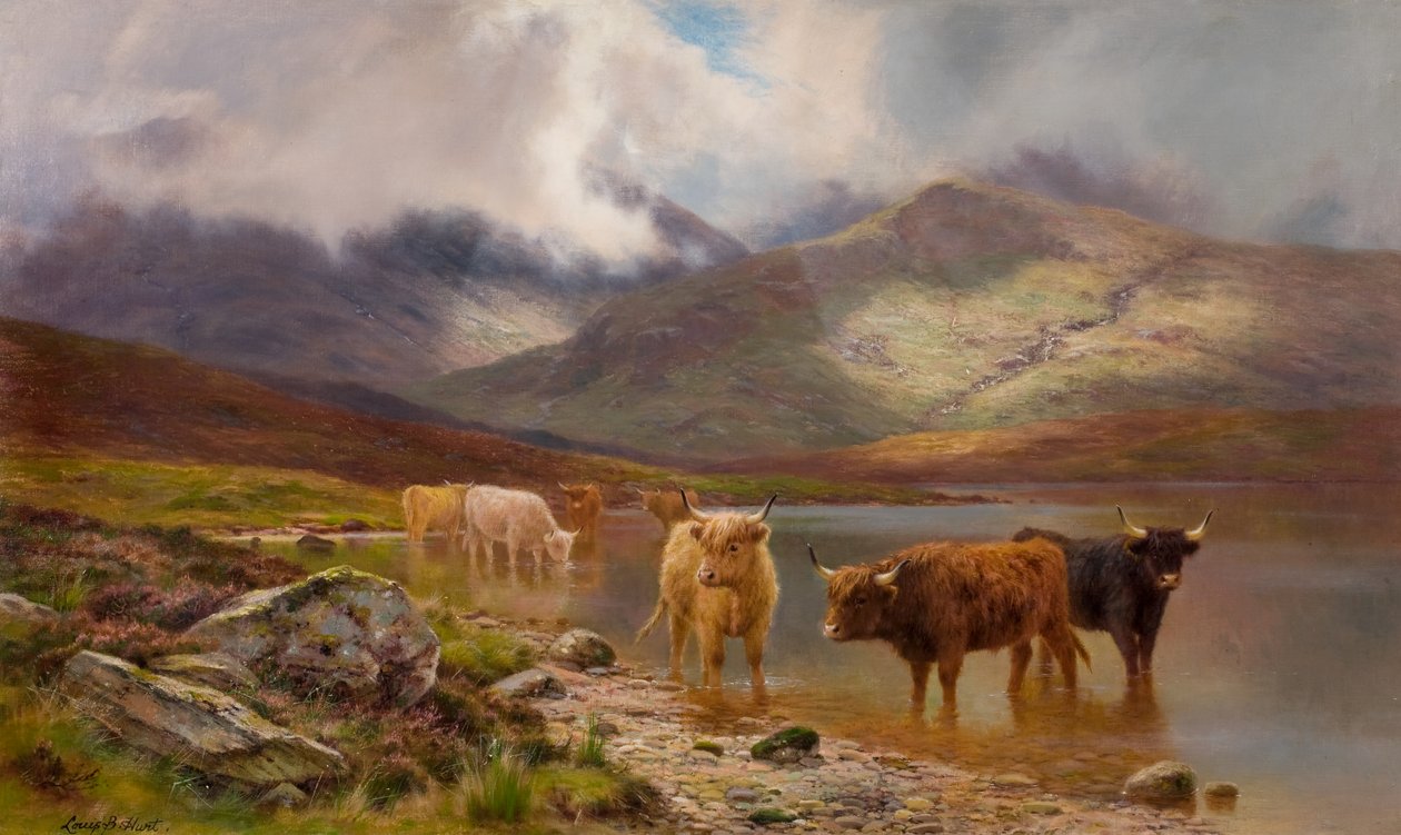 Highland Cattle (öljy kankaalle) tekijältä Louis Bosworth Hurt