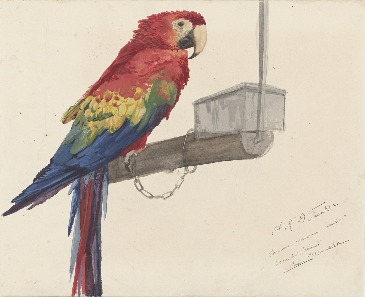 Papukaija tekijältä Louis Charles Bombled