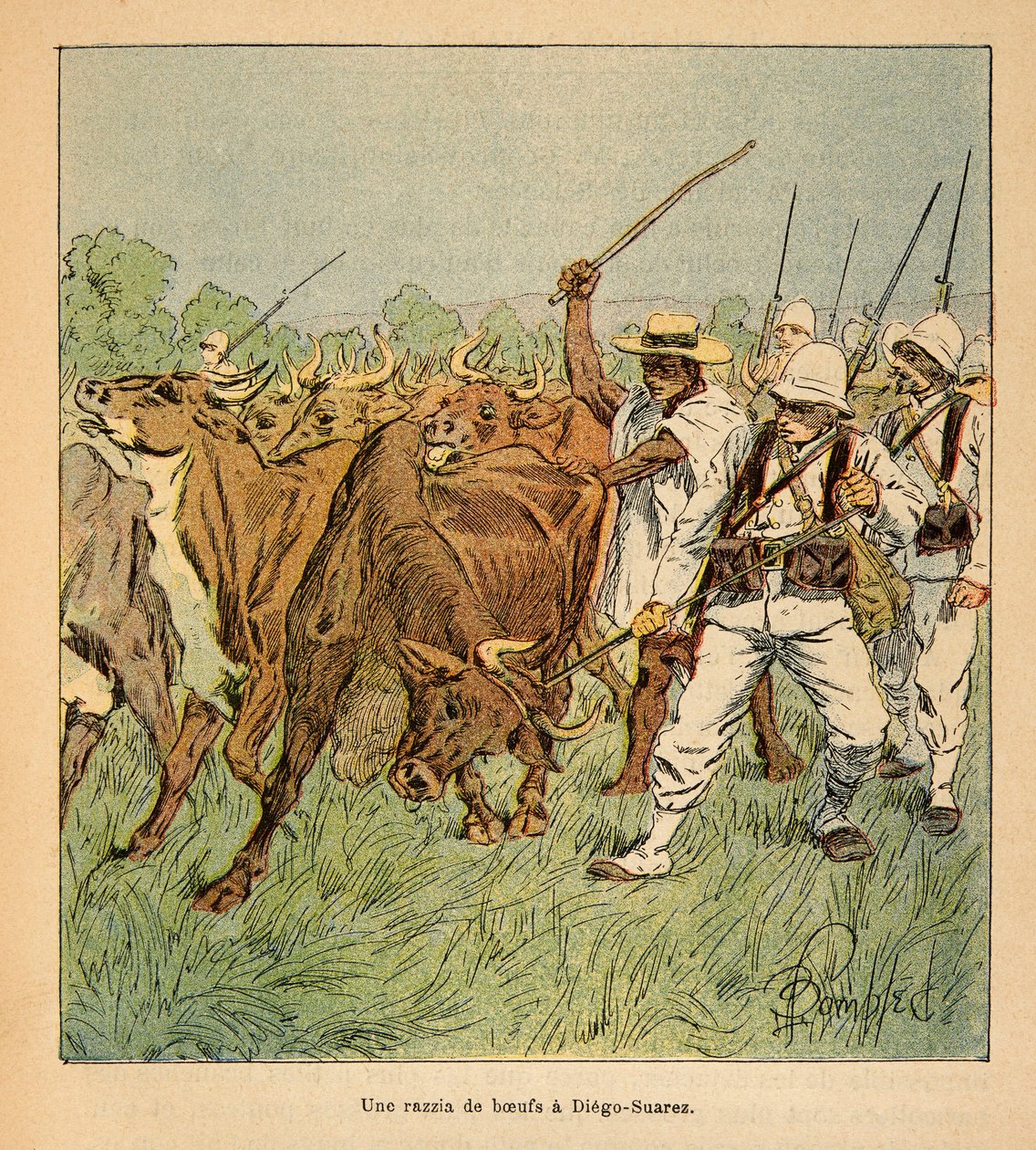Madagaskarin sota - Henri Galli dit Galllichet (1854-1922) ranskalaisten tutkimusretkien anekdoottinen historia, kuvittanut Louis Bombled (1862-1927): Diego-Suarezissa Ranskan armeija vaatii härkiä, Yksityinen kokoelma tekijältä Louis Charles Bombled