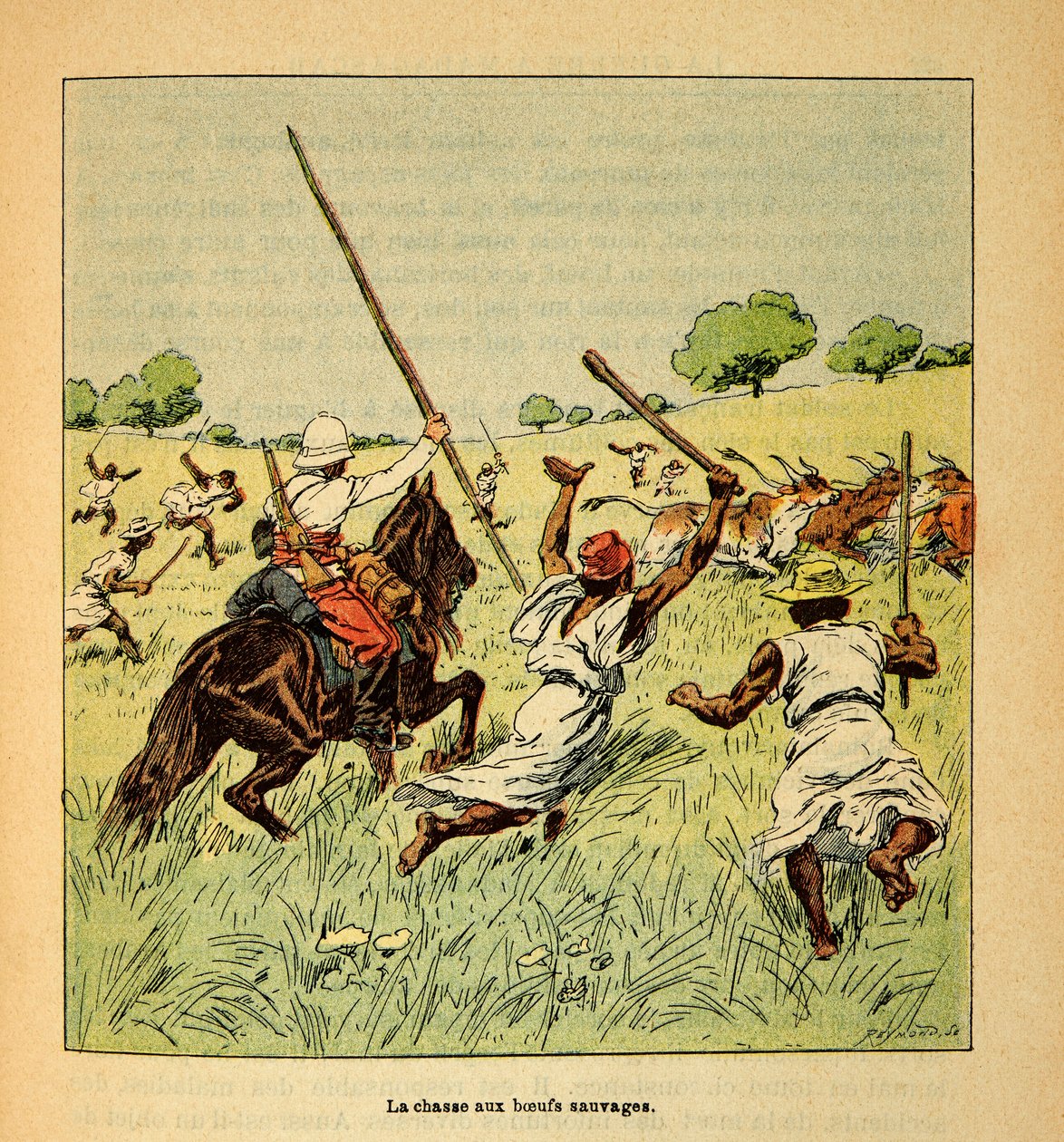 Madagaskarin sota - Henri Galli dit Galllichetin (1854-1922) ranskalaisten tutkimusretkien anekdoottinen historia, kuvittanut Louis Bombled (1862-1927): Villihärkien metsästys Madagaskarilla vuonna 1895, yksityinen kokoelma tekijältä Louis Charles Bombled
