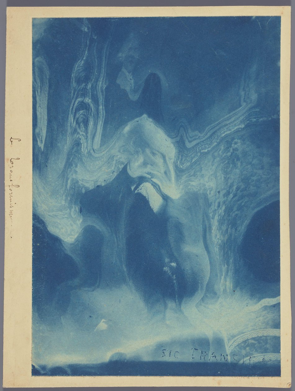 Le transformisme / Sic transit (otsikko esineessä) tekijältä Louis Ducos du Hauron (attributed to)