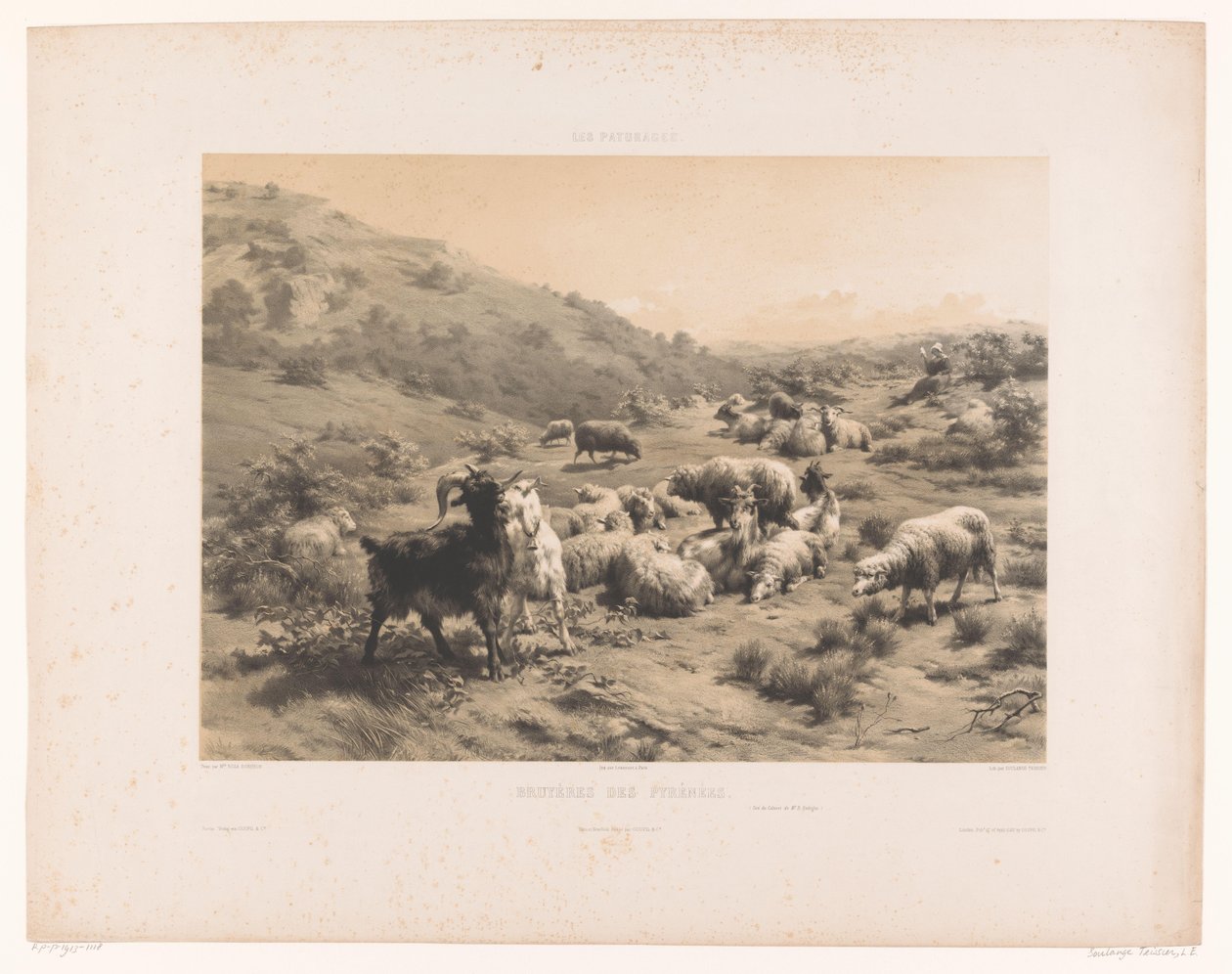 Paimentar vuohien ja lampaiden kanssa Pyreneillä Bruyeres des Pyrenees (otsikko esineessä) Laitumet (sarjan nimi) Les paturages (sarjan nimi esineellä) tekijältä Louis Emmanuel Soulange Teissier