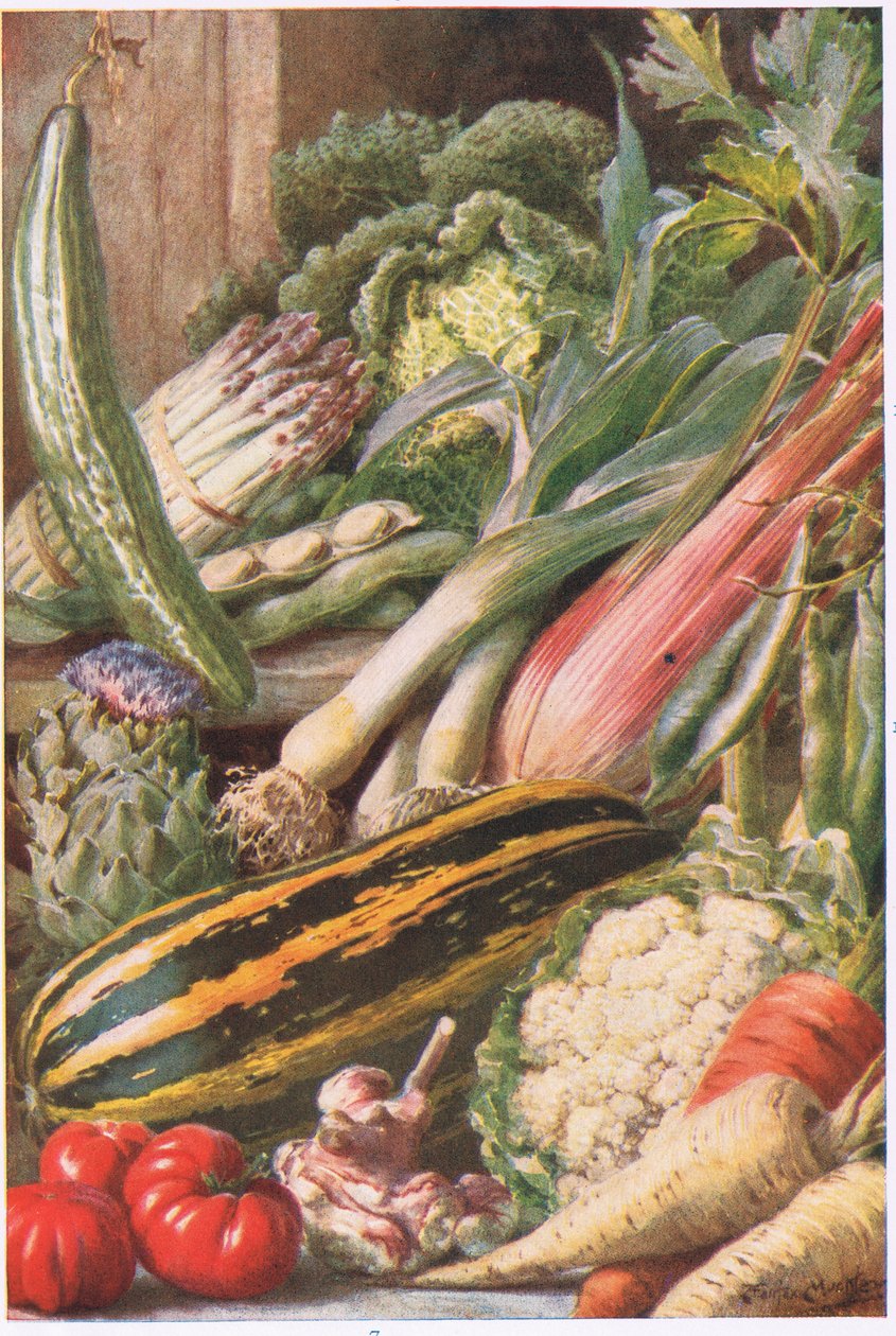 Puutarhavihannekset, kuvitus teoksesta "Garden Ways and Garden Days" (värilitho) tekijältä Louis Fairfax Muckley