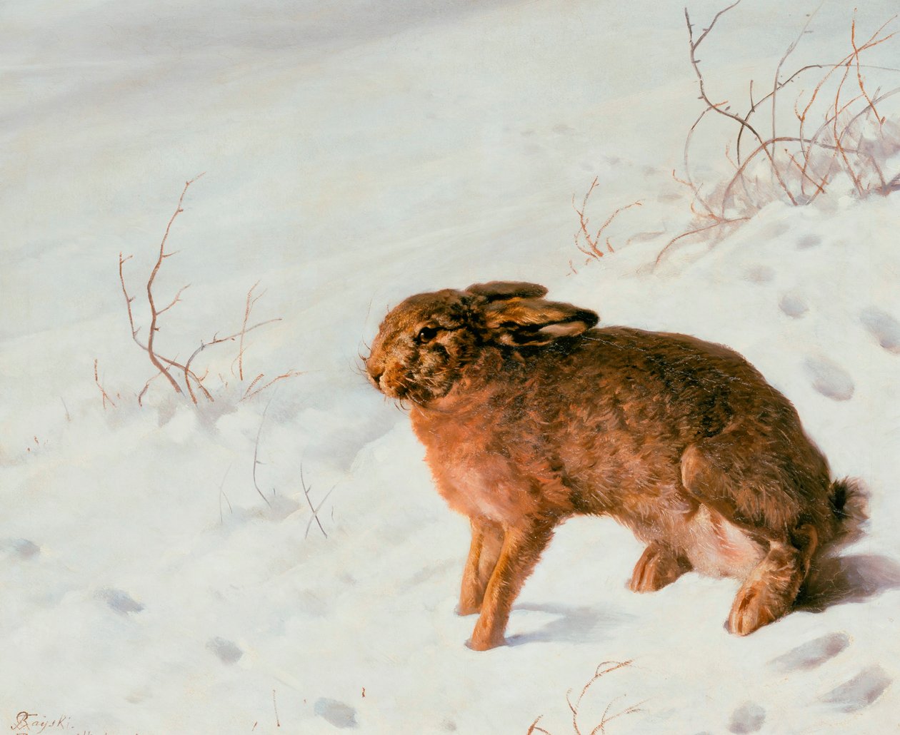 Jänis lumessa, 1875 tekijältä Louis Ferdinand von Rayski