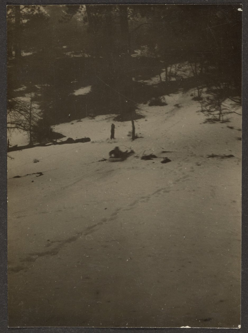 [Lapsi kelkkailee mäkeä alas] tekijältä Louis Fleckenstein