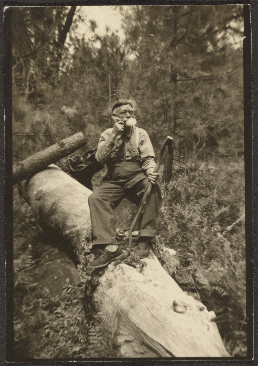 [Fleckenstein on a Log] tekijältä Louis Fleckenstein