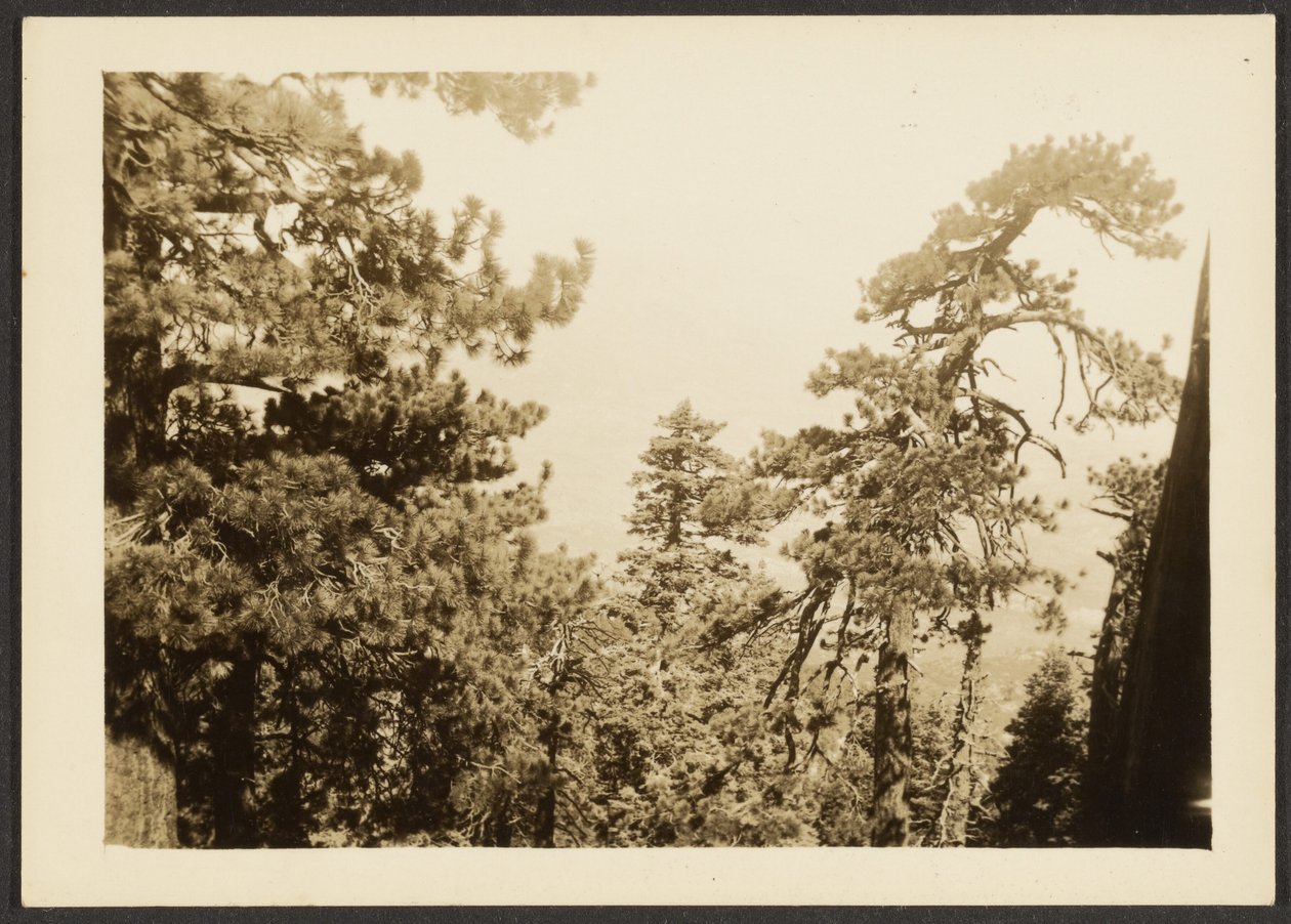 [Santa Rosa Peak] tekijältä Louis Fleckenstein
