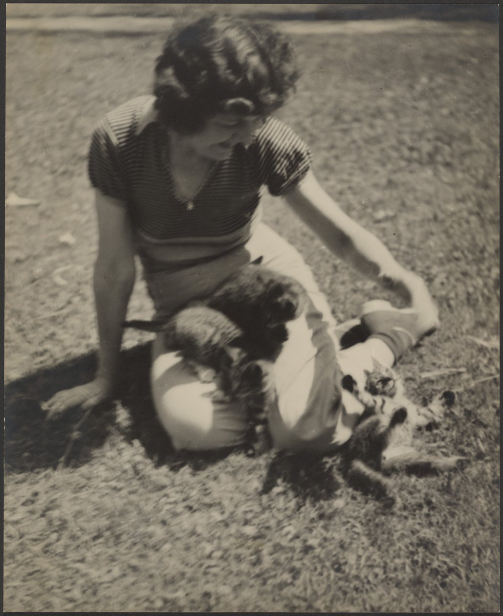 [Nainen ja kissanpentuja] tekijältä Louis Fleckenstein