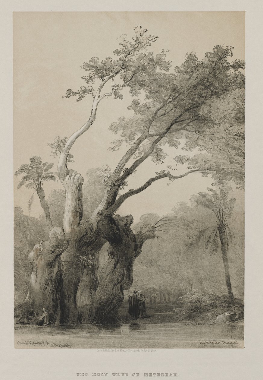 Egypti ja Nubia, osa III: Metereahin pyhä puu, 1849. tekijältä Louis Haghe