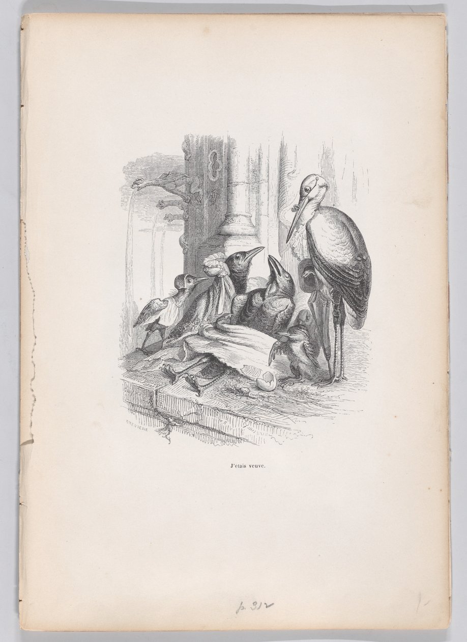 Olin leski Scenes from the Private and Public Life of Animals, noin. 1837-47. tekijältä Louis Henri Brévière
