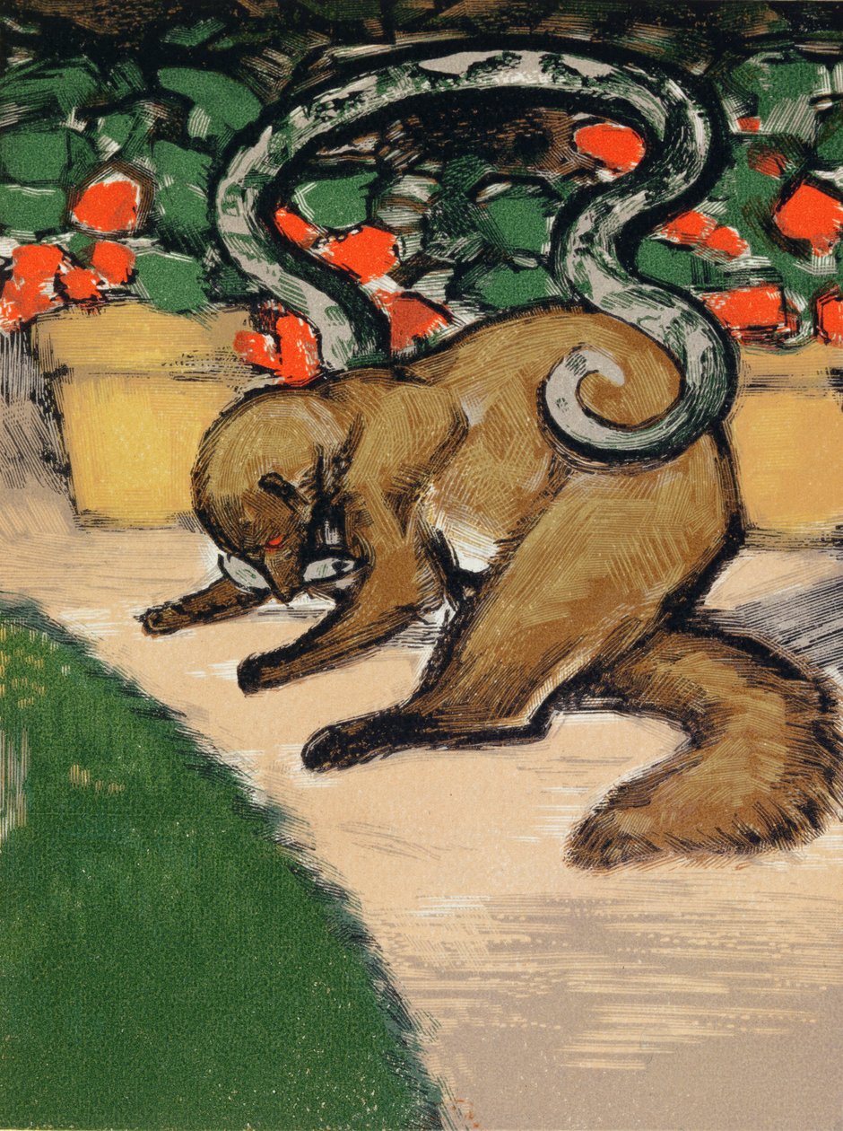 Rikki-Tikki-Tavi, kuvitus Rudyard Kiplingin Viidakkokirjasta (1965-1936), julkaistu Pariisissa. tekijältä Louis Joseph Soulas