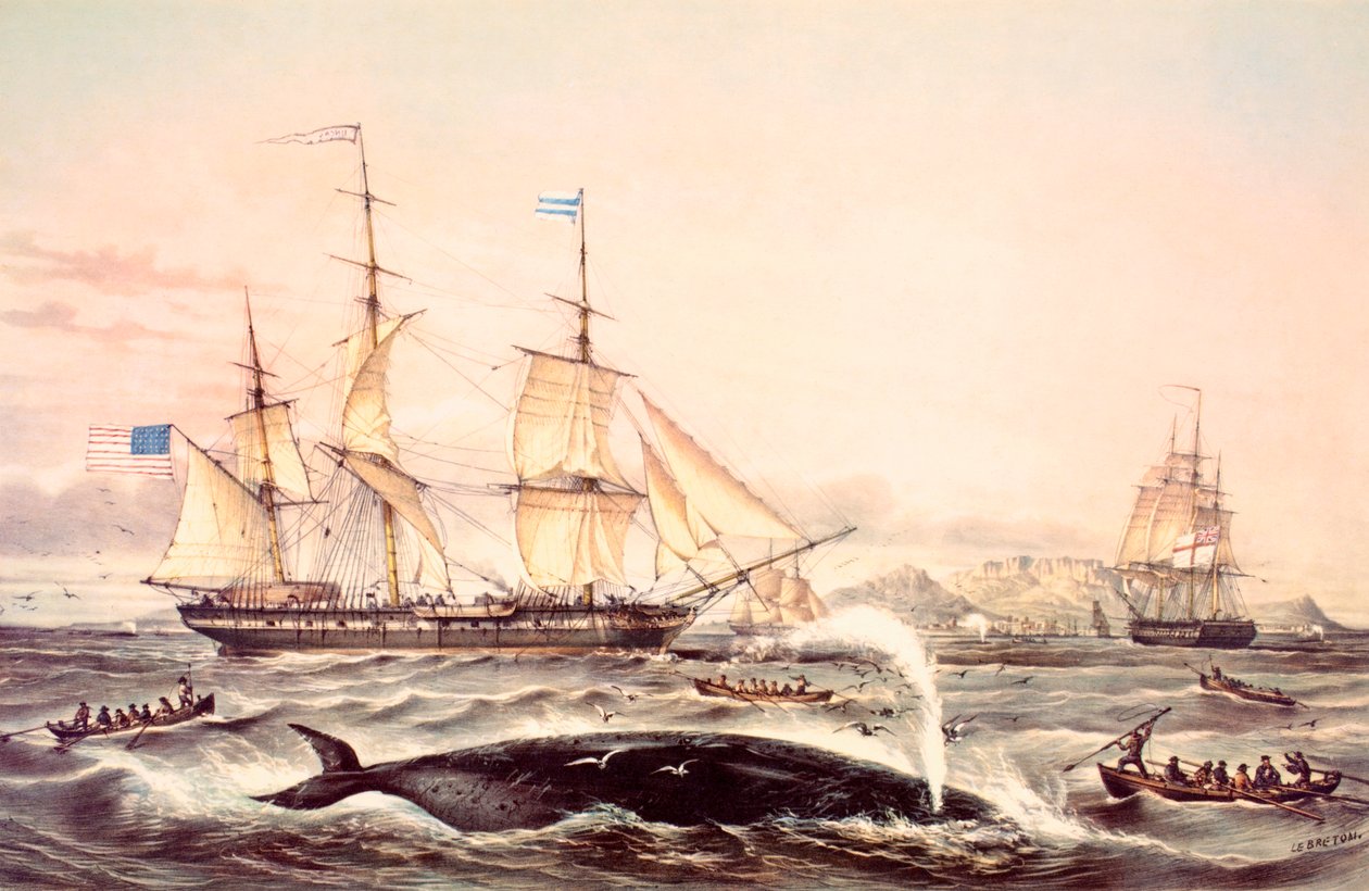 Valaanpyynti Hyvän toivon niemessä tekijältä Louis Le Breton