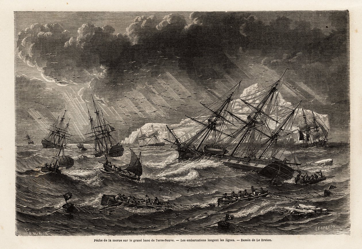 Turskan kalastus Grand Bank of Newfoundlandissa, veneet seuraavat Lebretonin piirtämiä linjoja havainnollistaen A. de Gobineaun matkaa Newfoundlandiin vuonna 1860. Kaiverrus kirjassa "" Le tour du monde", toimittanut Edouard Charton tekijältä Louis Le Breton