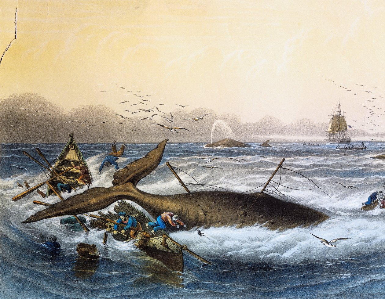 Valaanpyynti Etelämerellä, Louis Lebretonin (kuollut 1866) värilitografia tekijältä Louis Le Breton