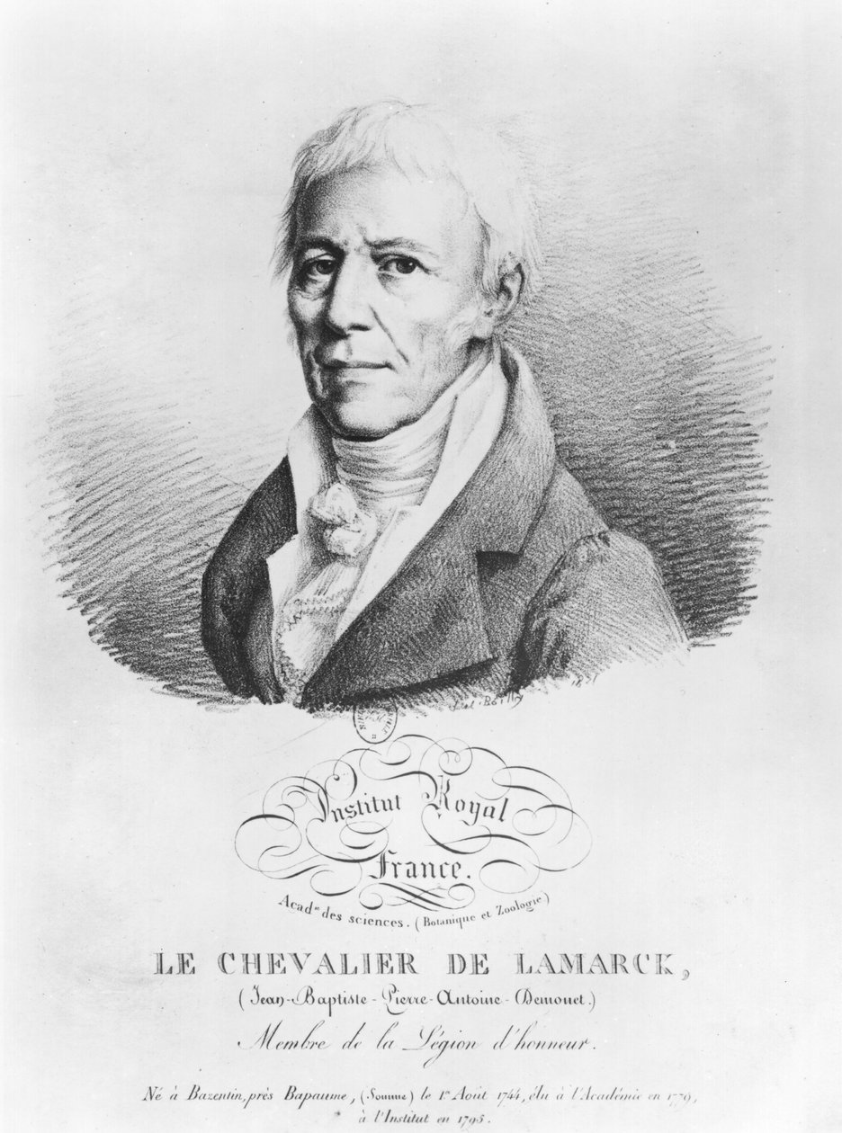 Jean-Baptiste de Monet