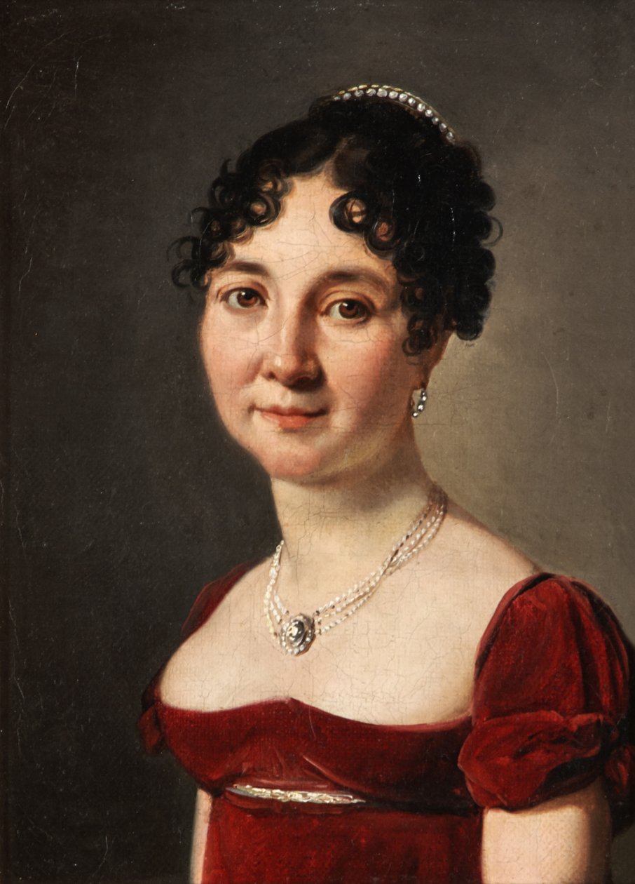 Punaisessa samettimekossa olevan naisen muotokuva tekijältä Louis Leopold Boilly
