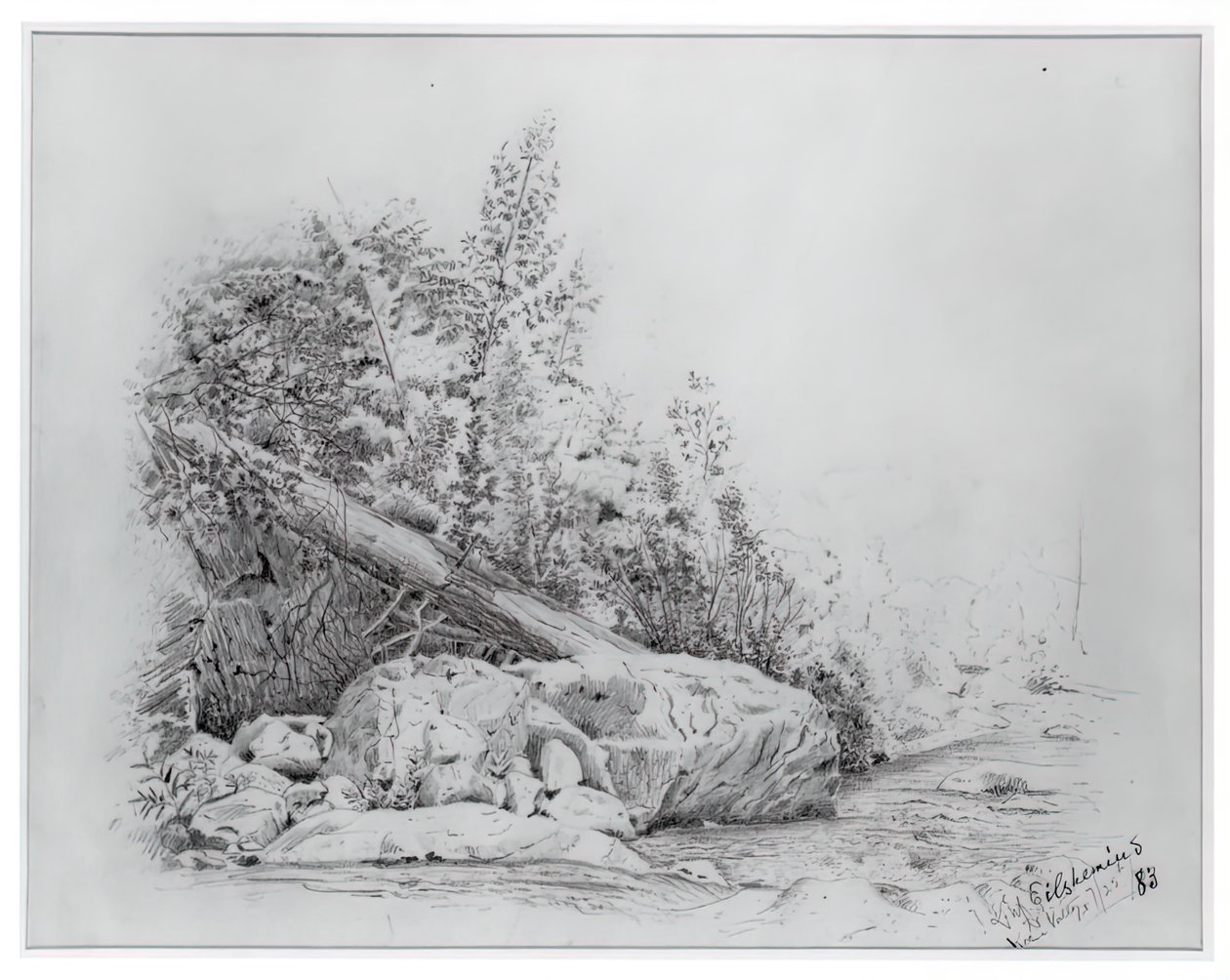 Fallen Tree, Keene Valley, 25. heinäkuuta 1883. tekijältä Louis Michel Eilshemius