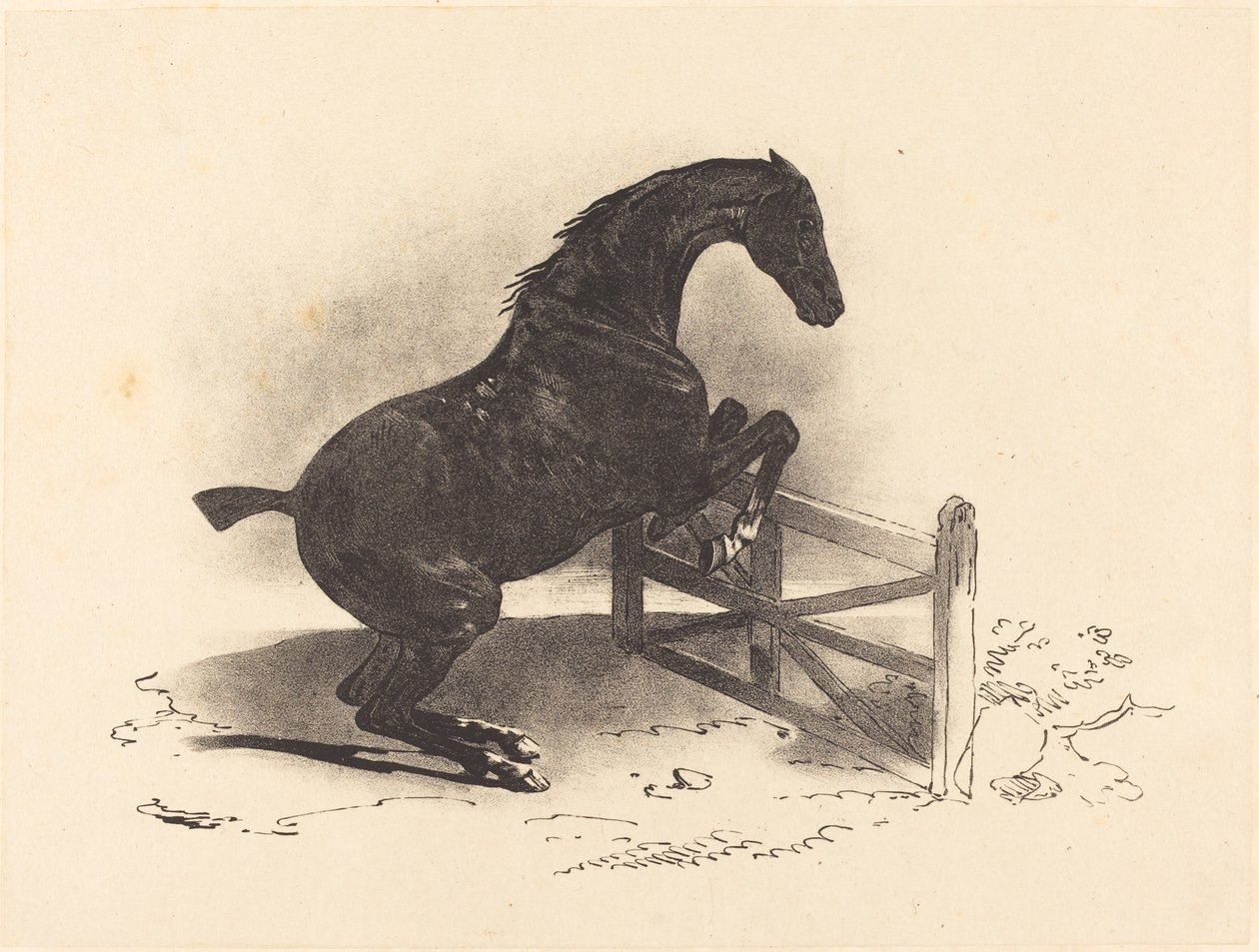 Hevonen hyppää esteellä tekijältä Louis Pierre Marie Courtin after Théodore Gericault