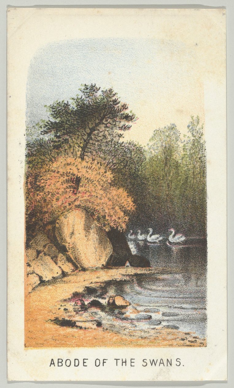 Abode of the Swans, sarjasta Views in Central Park, New York, osa 2, 1864. tekijältä Louis Prang