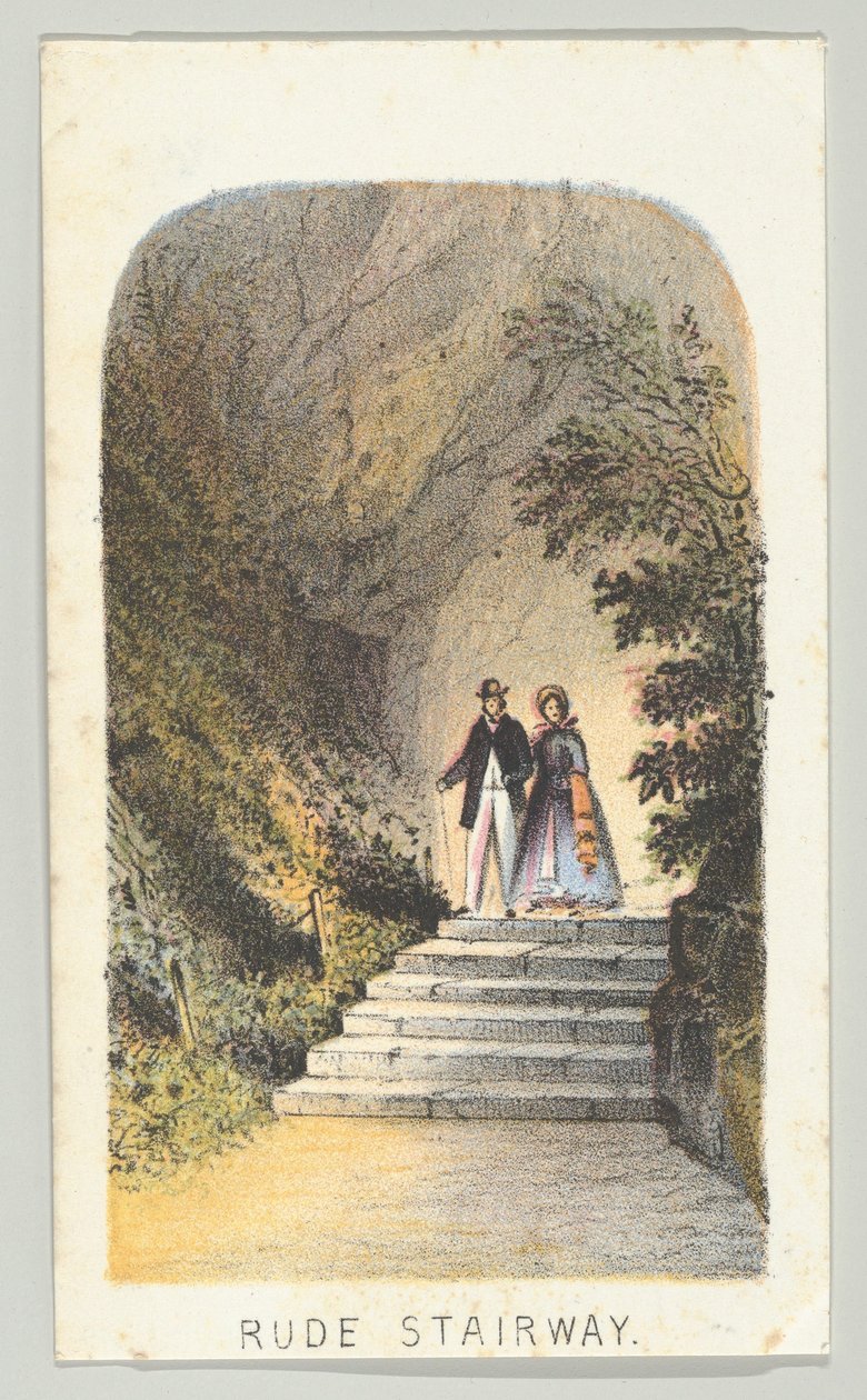 Rude Stairway, sarjasta Views in Central Park, New York, osa 2, 1864. tekijältä Louis Prang