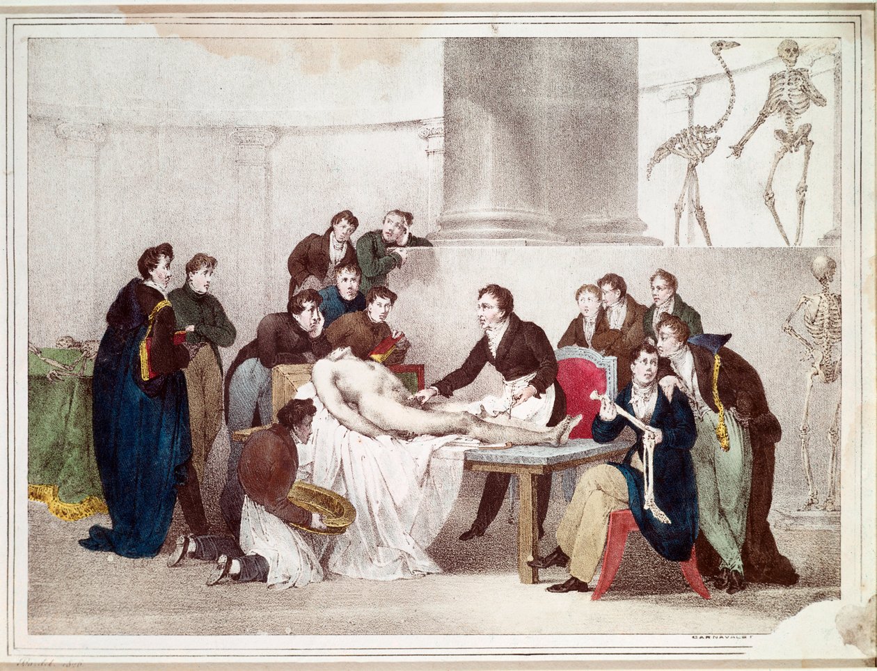 Anatomian oppitunti (litografia tekijältä Louis Thomas Bardel
