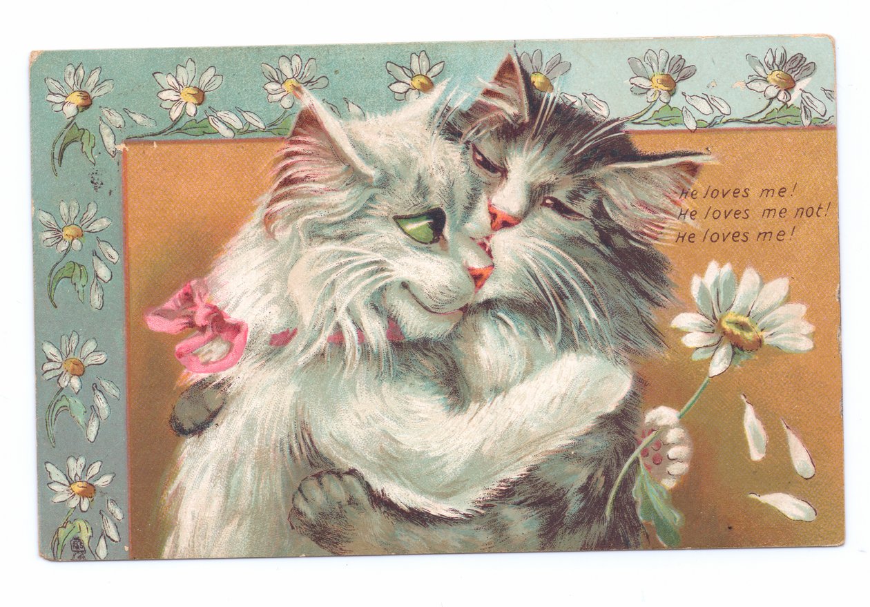Edvardiaaninen postikortti, jossa kaksi kissaa halaa toisiaan, noin 1910. tekijältä Louis Wain