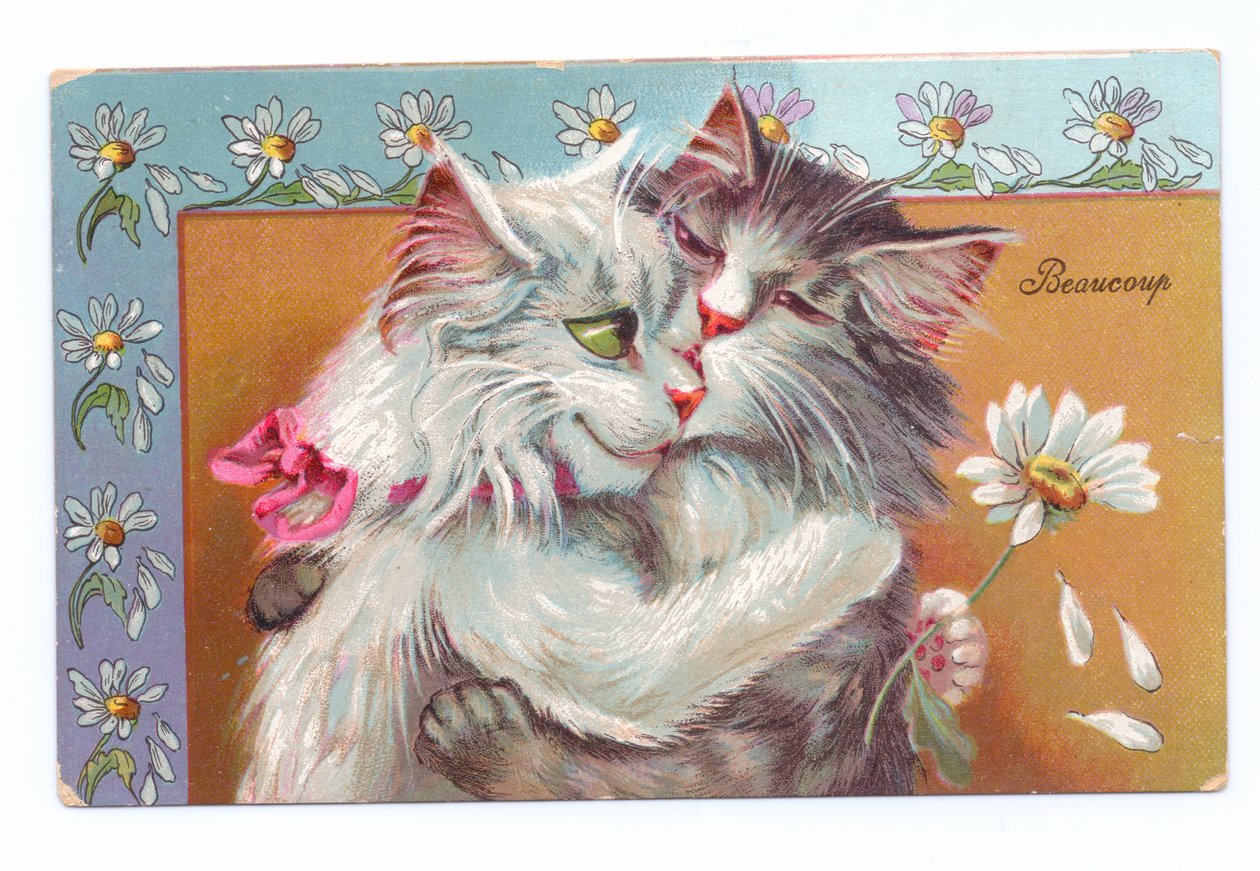 Edvardiaaninen postikortti, jossa kaksi kissaa halaa toisiaan, noin 1910. tekijältä Louis Wain