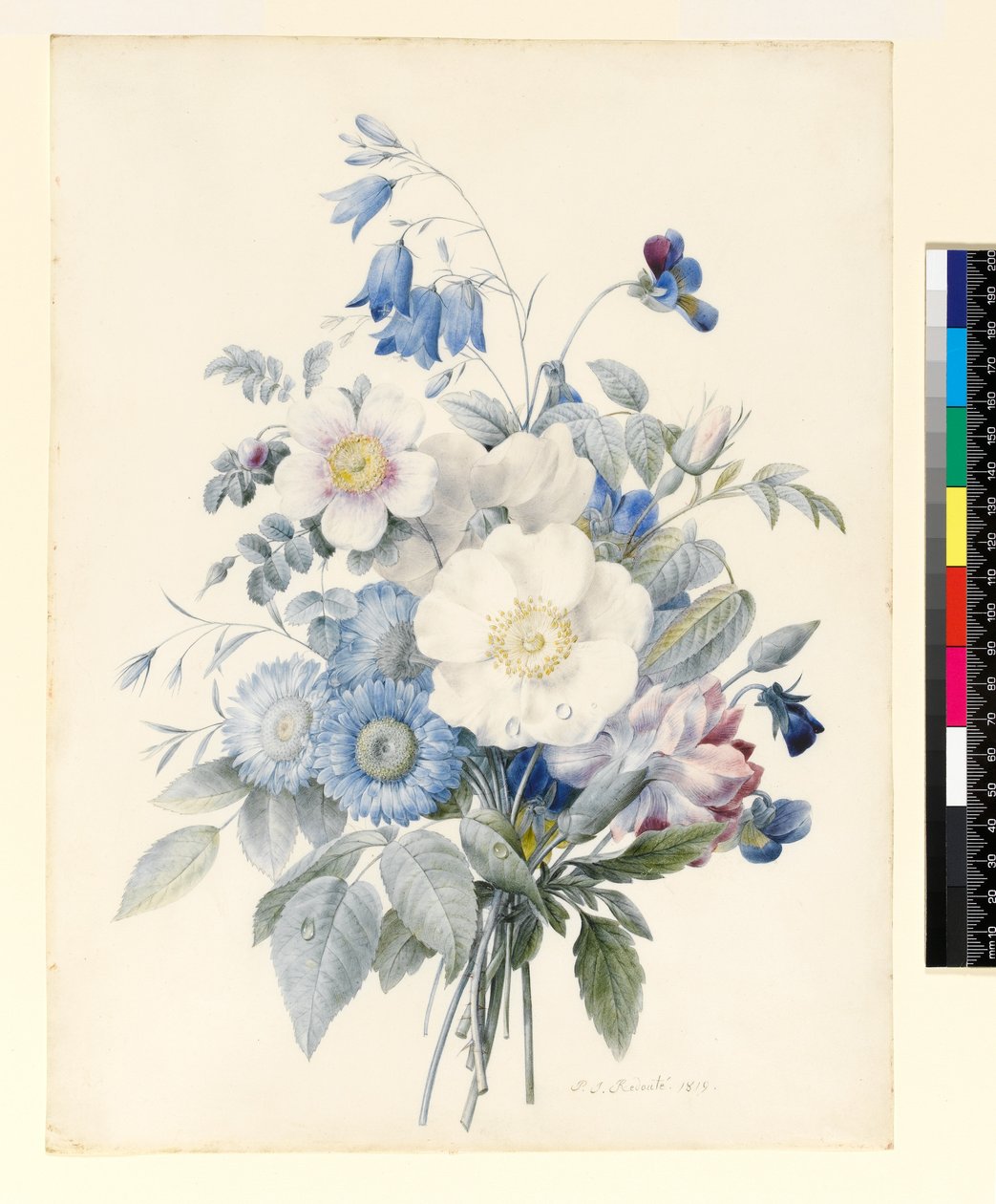 PD.847-1973 Suihke kesäkukkia, 1820 (wc ja guassi vellum) tekijältä Louise DOrleans