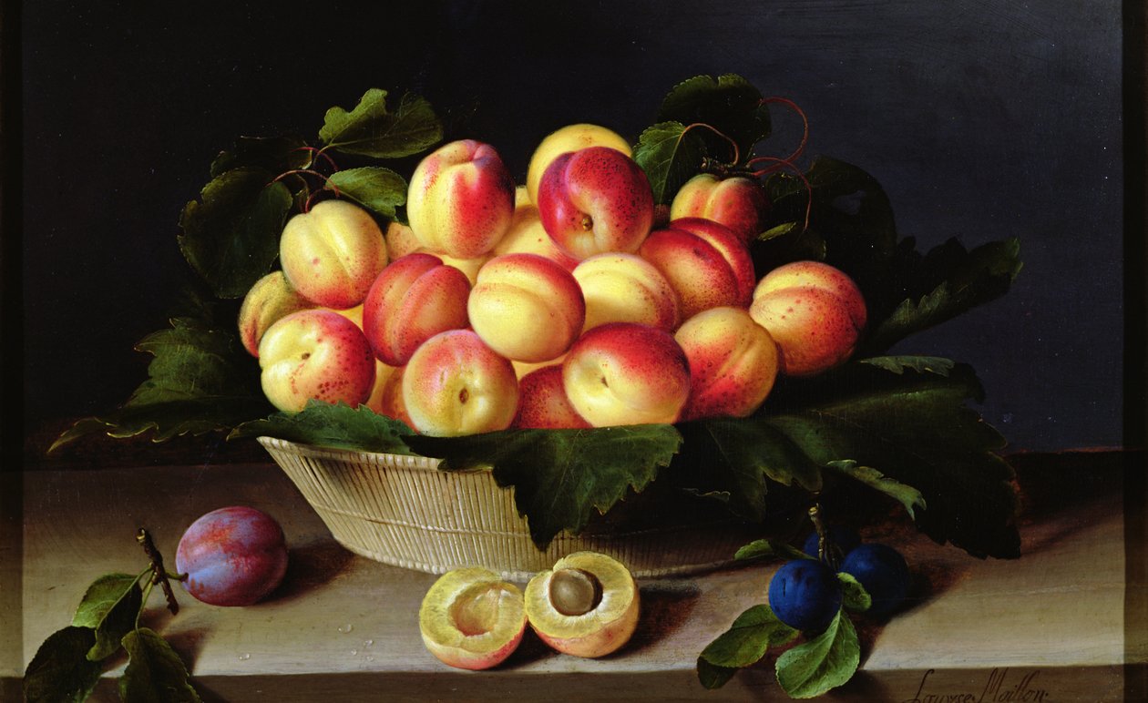 Kori aprikooseja, 1634 tekijältä Louise Moillon