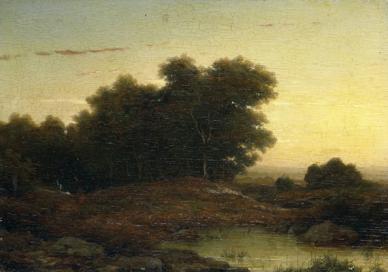 Näkymä metsässä auringonlaskun aikaan tekijältä Louwrens Hanedoes