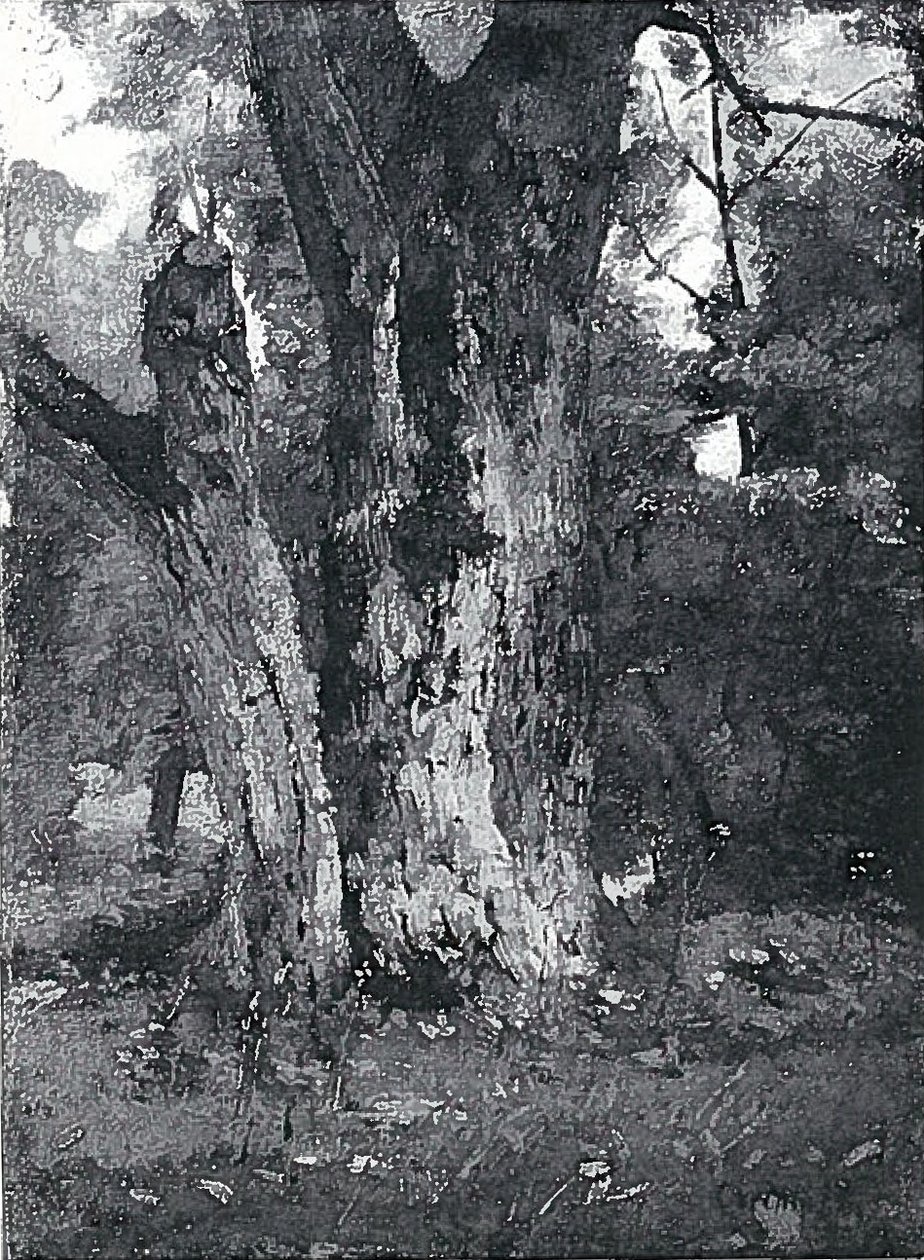 Aweiderpark Konigsbergnissä tekijältä Lovis Corinth