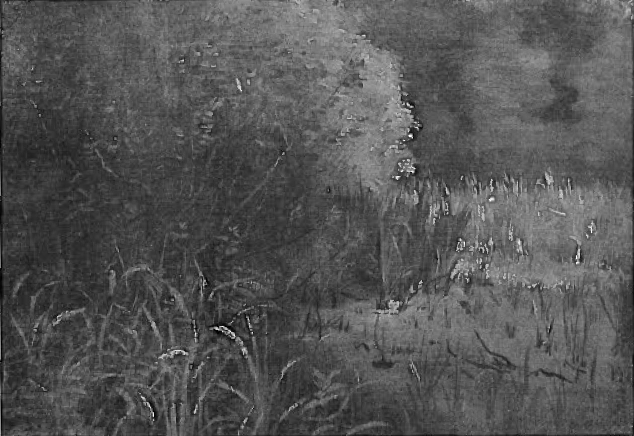 Olen Schilfn tekijältä Lovis Corinth