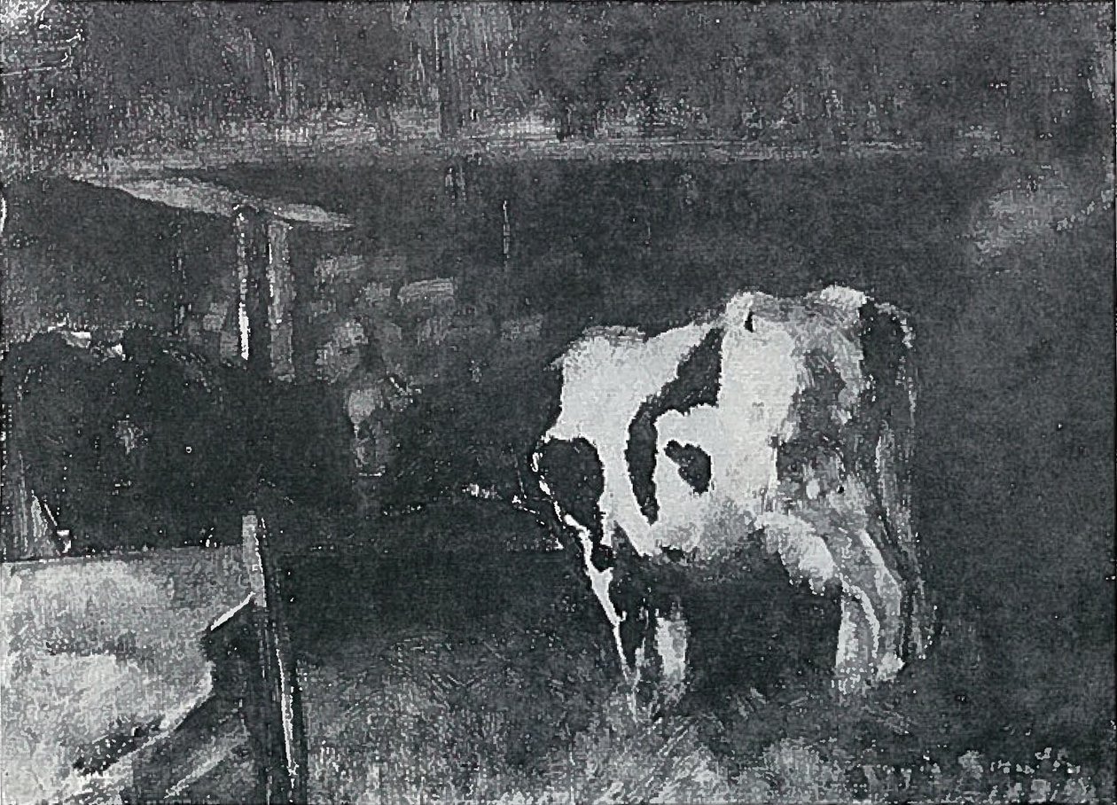 Kuhstall tekijältä Lovis Corinth