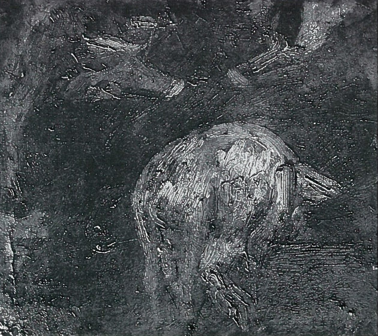 Schwein Studien tekijältä Lovis Corinth