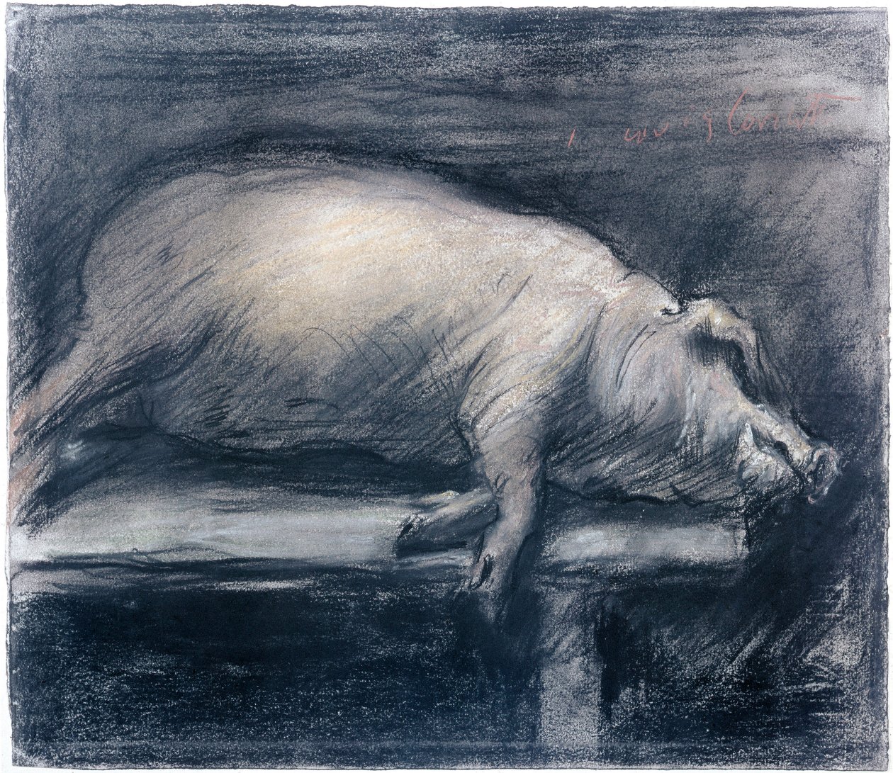 Lovis Corinth (1858-1925) teurastettu sika New York, Modernin taiteen museo tekijältä Lovis  Corinth