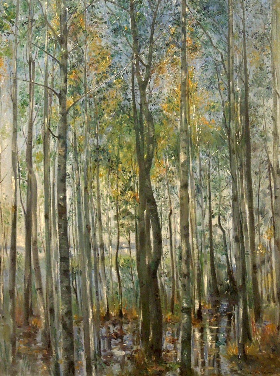 Metsä. Starnberg-järven tulvat tekijältä Lovis Corinth